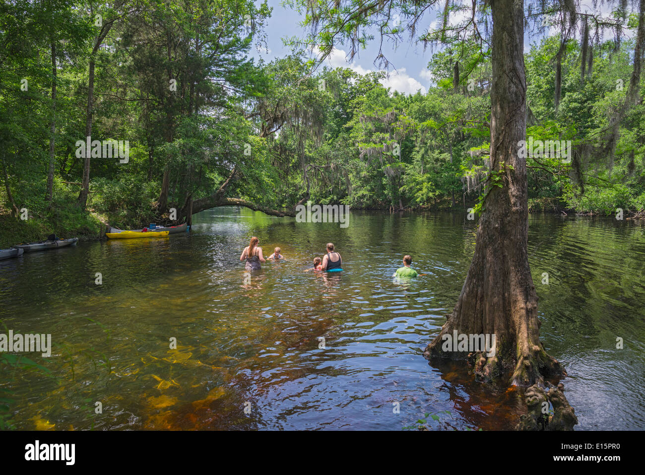 Ressorts de Poe se jette dans la rivière Santa Fe près de High Springs en Floride. Banque D'Images