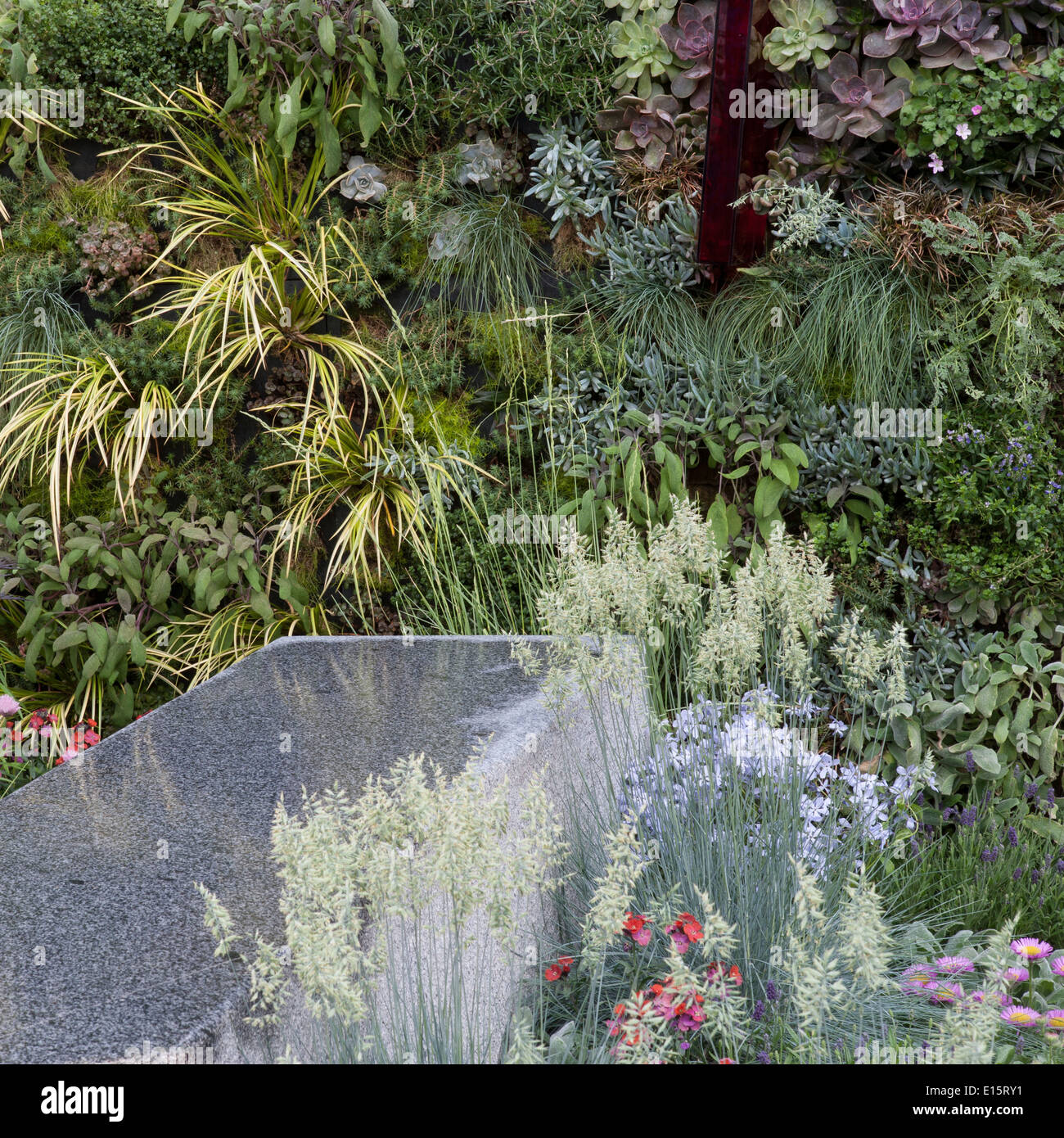 Jardin de jardinage vertical mur vivant le jardin de l'oeil de l'esprit pour la RNIB - Institut national royal pour les aveugles - Royaume-Uni Banque D'Images