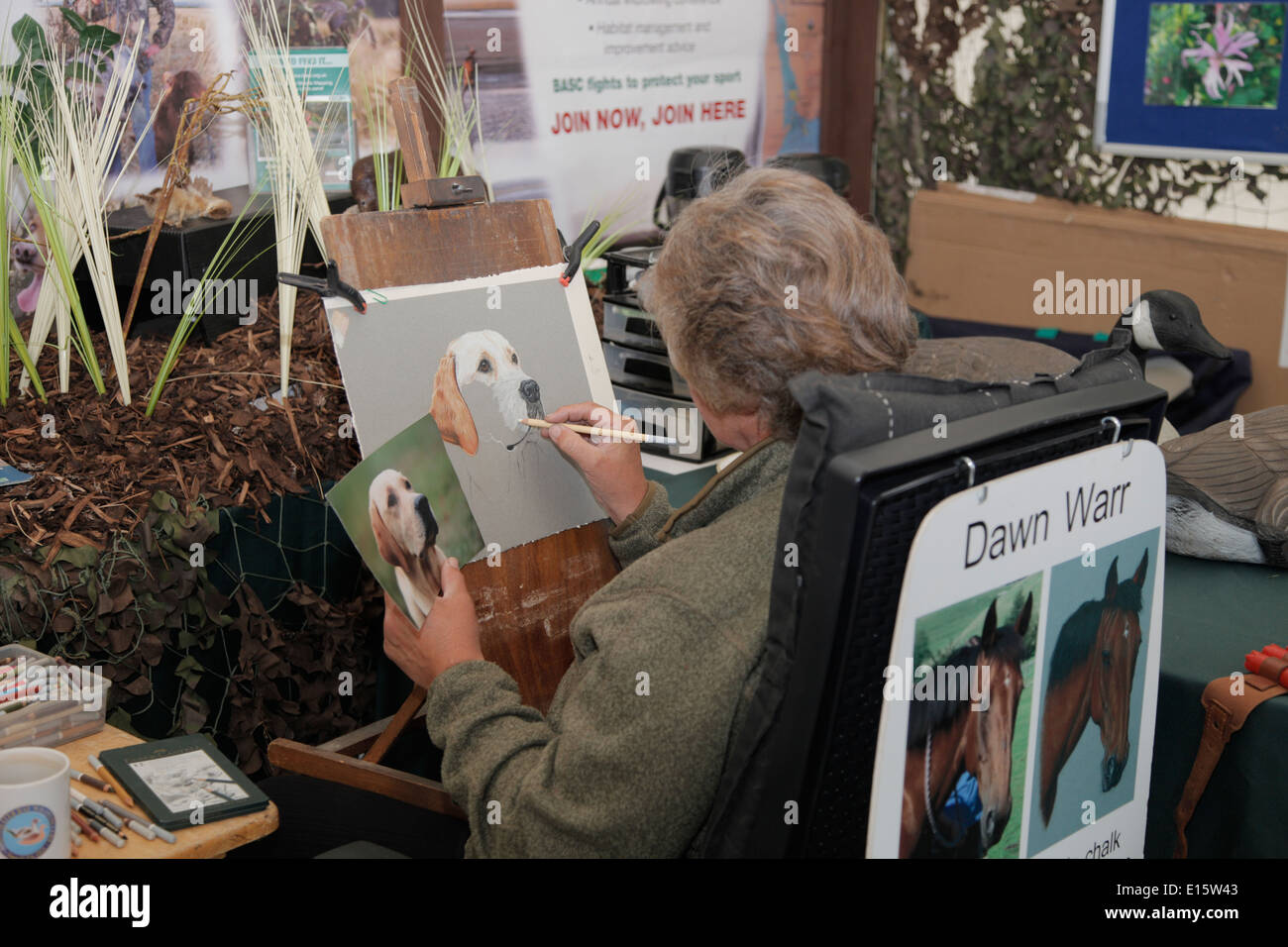 Femme artiste Dawn Warr dessin animaux portrait de chien à Devon County Show Banque D'Images