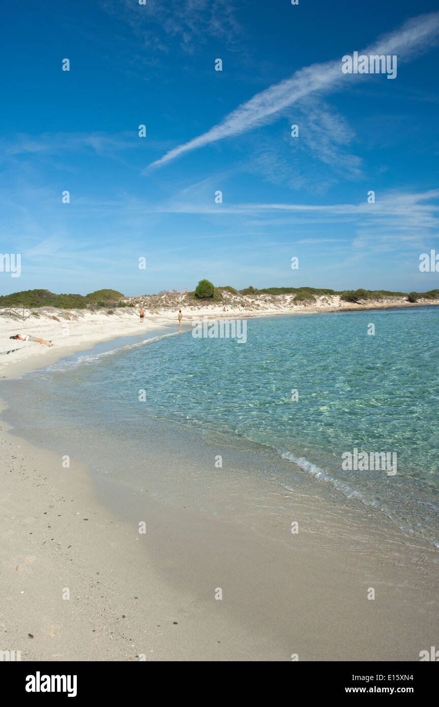 L'eau de mer transparente à l'Isuledda, plage de San Teodoro, Sardaigne, Italie Banque D'Images