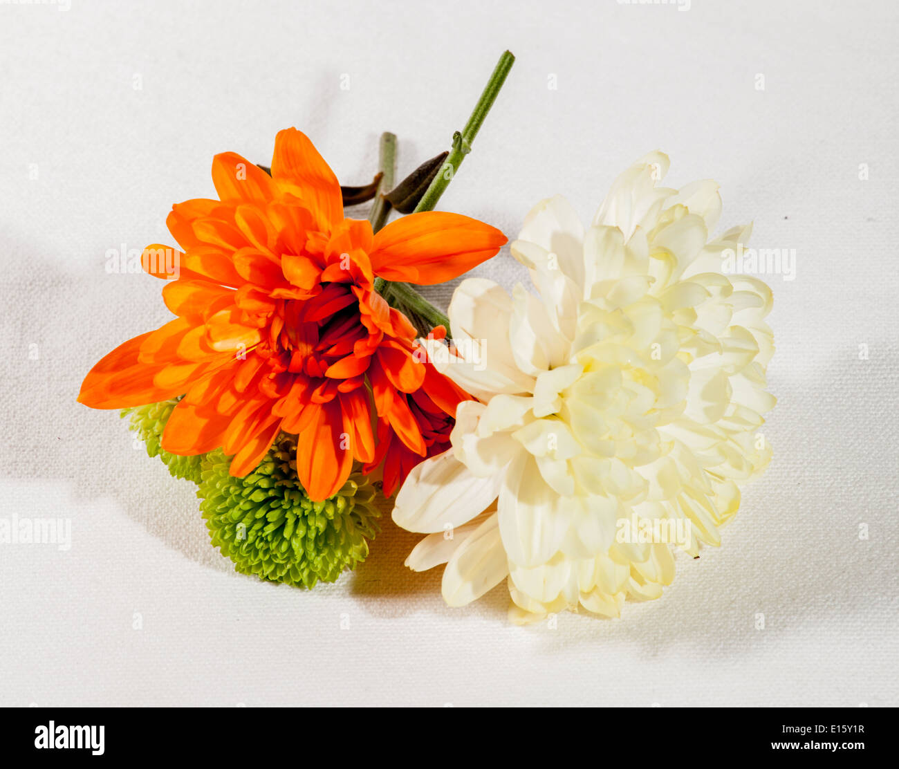 Un Petit Bouquet De Fleurs Photo Stock Alamy