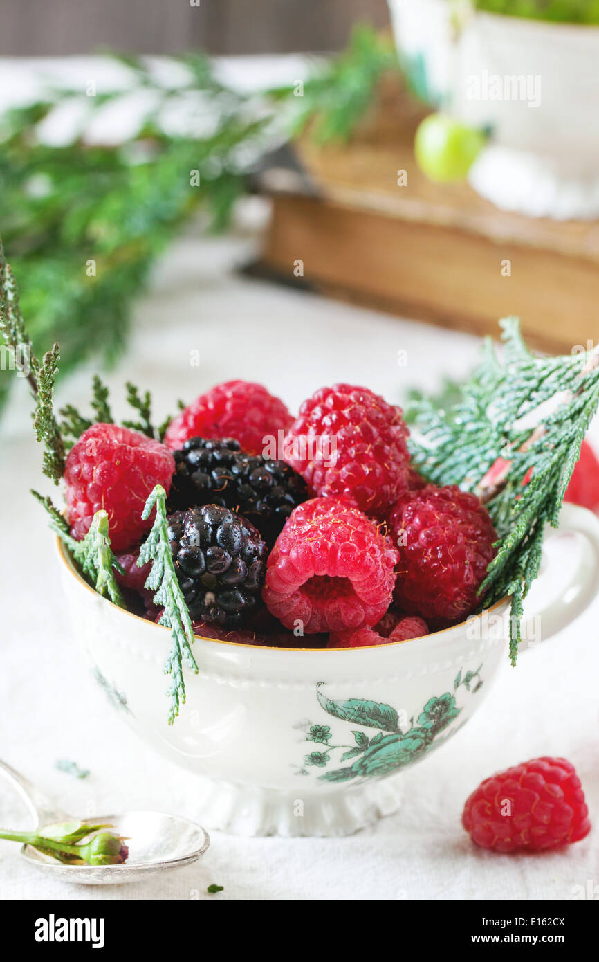 Vintage tasse de framboises et mûres servi avec thuja branches et vieux livre sur la table. Banque D'Images