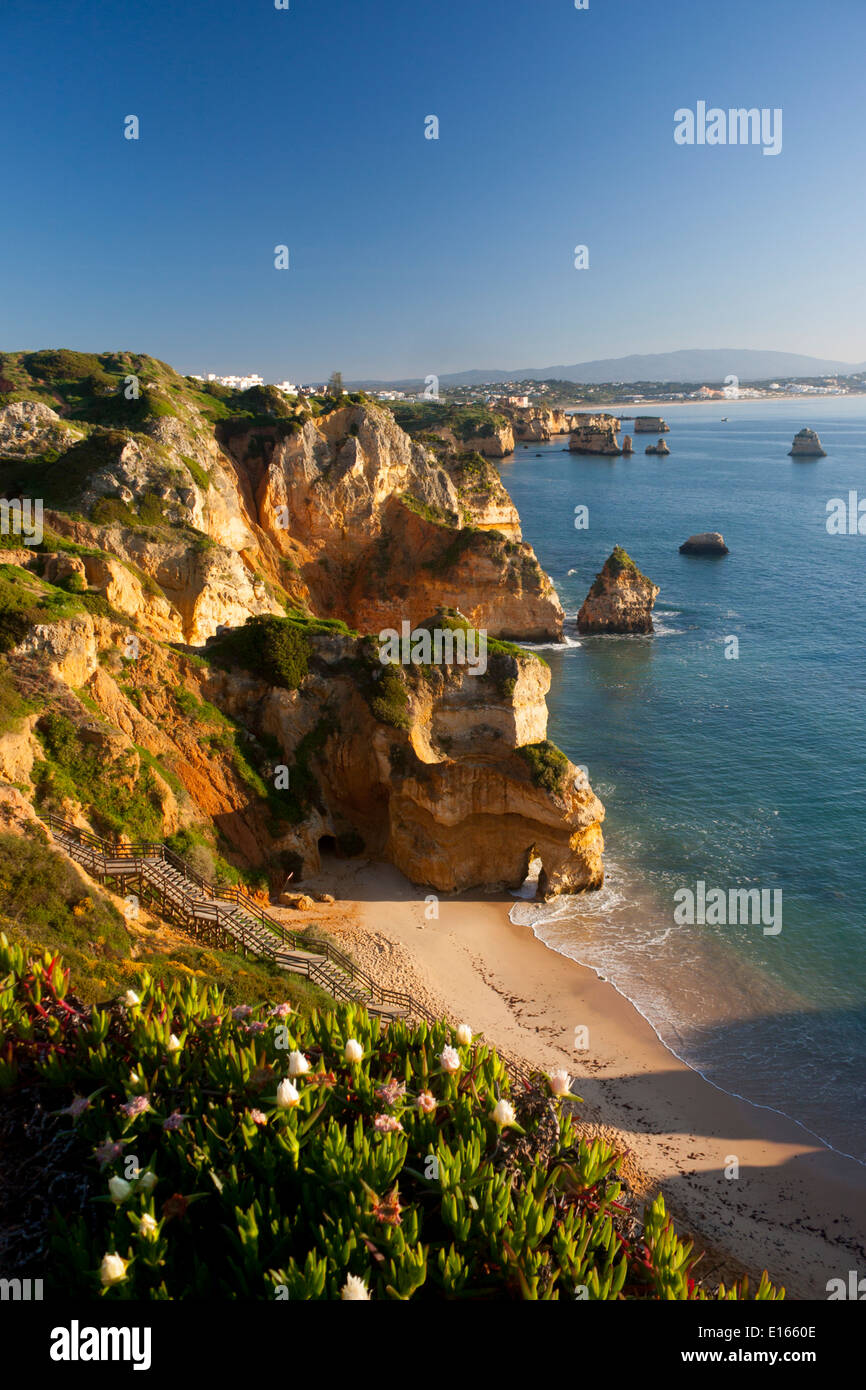 Plage Praia do Camilo entre Ponta da Piedade et Lagos Algarve Portugal matin aube sunrise view Banque D'Images