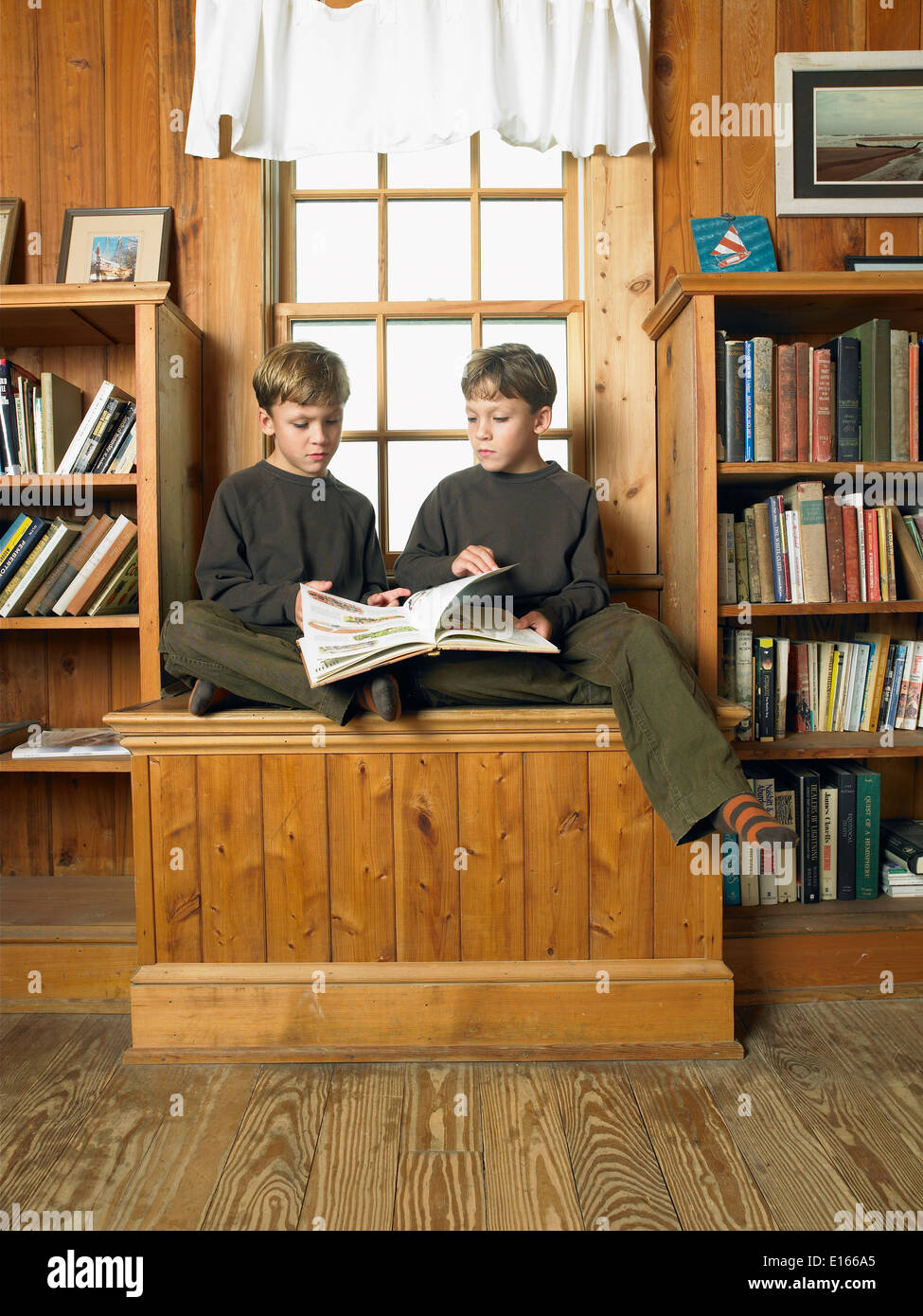 Des jumeaux reading in library Banque D'Images