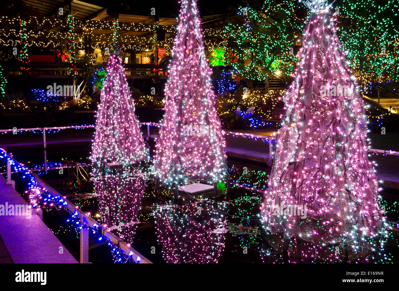 Belles lumières d'arbre de Noël et d'autres vacances d'illuminations à VanDusen Botanical Garden, à Vancouver, Colombie-Britannique, Canada. Banque D'Images