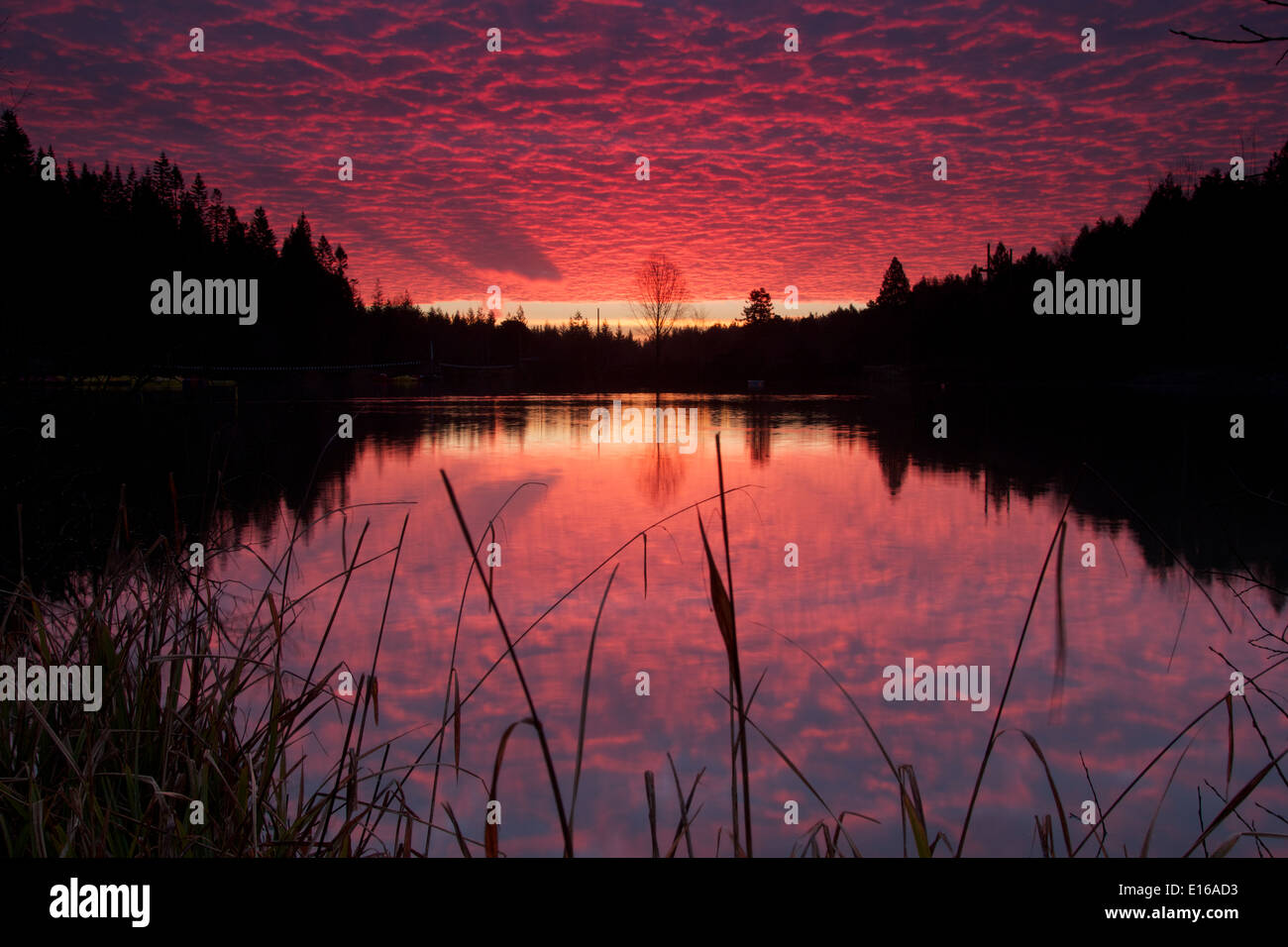 Le lever du soleil au bord du lac Banque D'Images