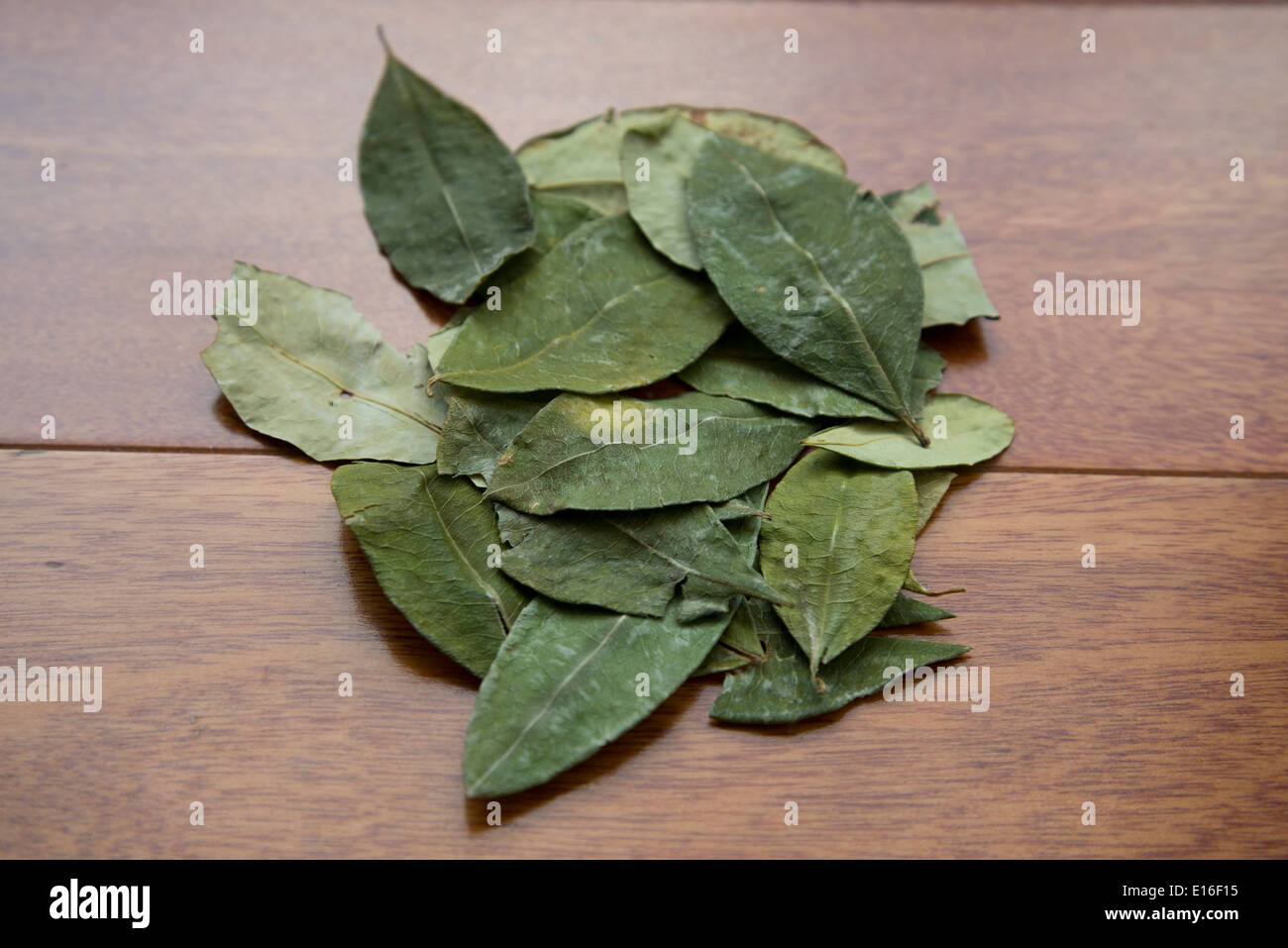Coca leaf Banque de photographies et d’images à haute résolution Alamy