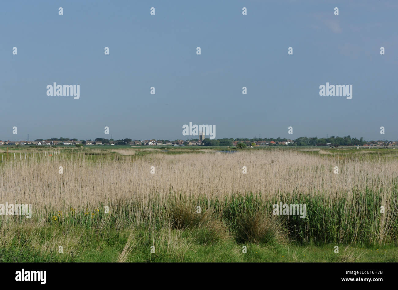 La ville de Lydd de partout Denge Marsh à Dungeness. Dungeness, Kent, UK. Banque D'Images
