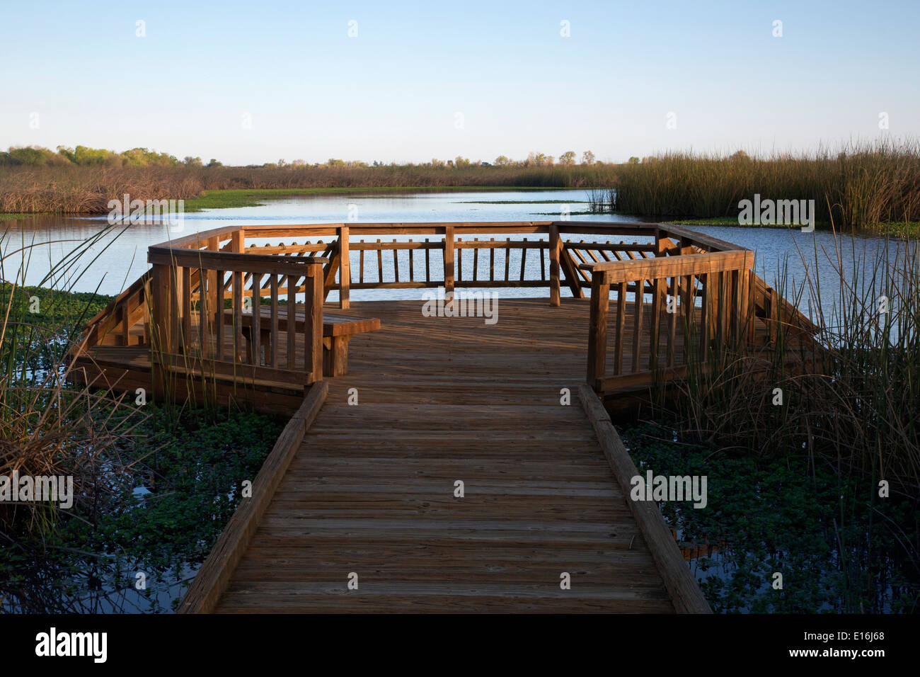 CA02154-00...CALIFORNIE - Promenade et plate-forme d'observation, à la préservation de la rivière Cosumes de faune dans la vallée centrale. Banque D'Images