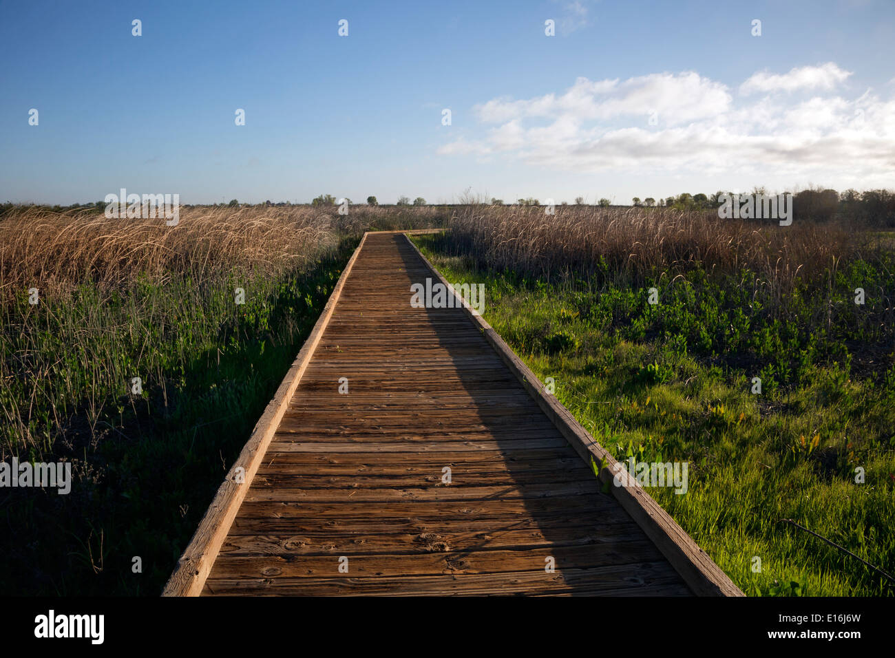 Californie - Boardwalk Ensemble par les terres humides de la rivière Cosumes Préserver faune dans la vallée centrale. Banque D'Images