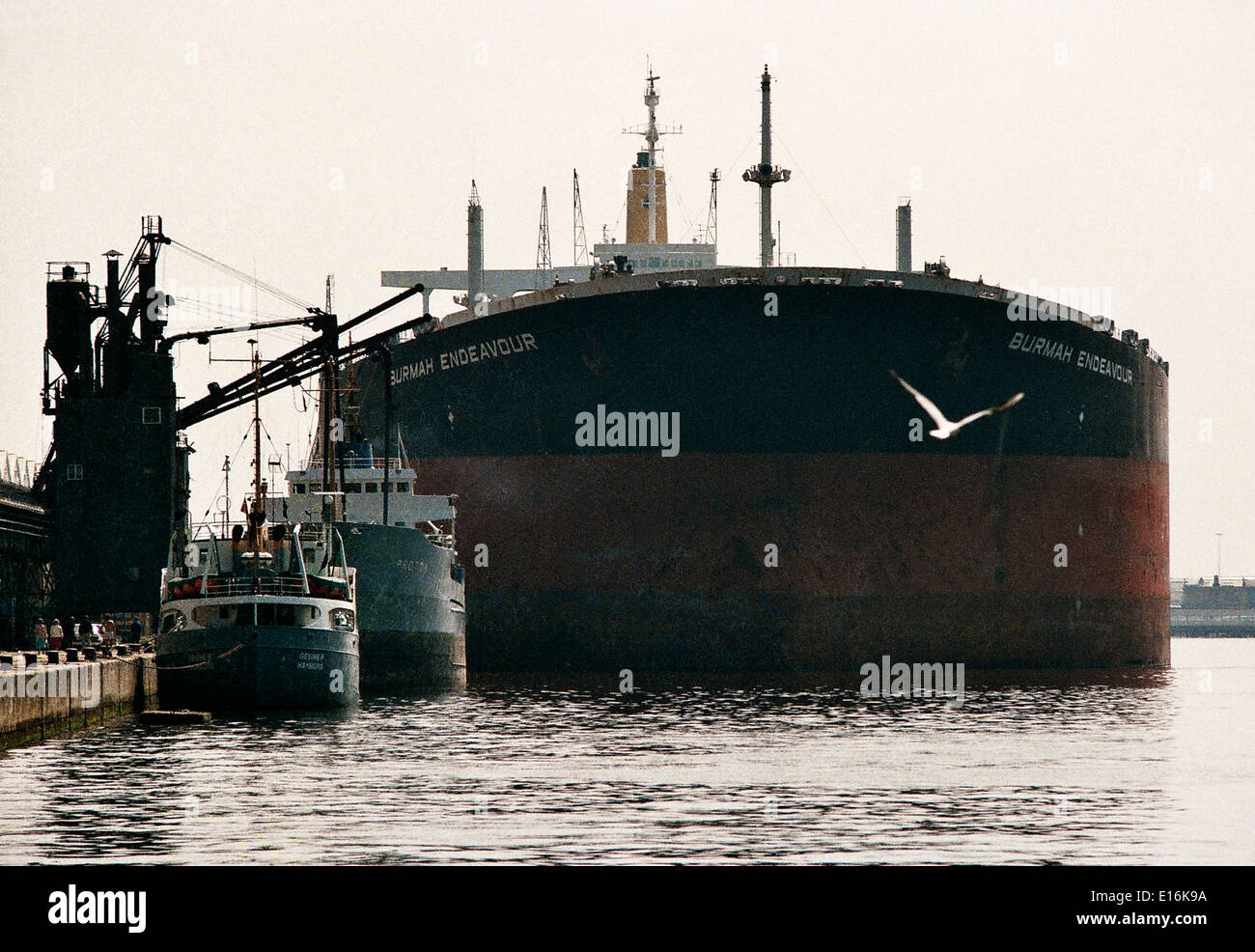 AJAXNETPHOTO. 1984. SOUTHAMPTON, Angleterre.-SUPER TANKER BURMAH NAINS Endeavour amarrée au quai des caboteurs de l'Ouest. Photo : Jonathan Eastland/Ajax Banque D'Images