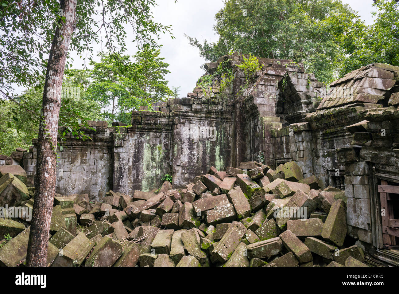 Ruines du temple de Beng Mealea zone d'Angkor, Siem Reap, Cambodge Banque D'Images