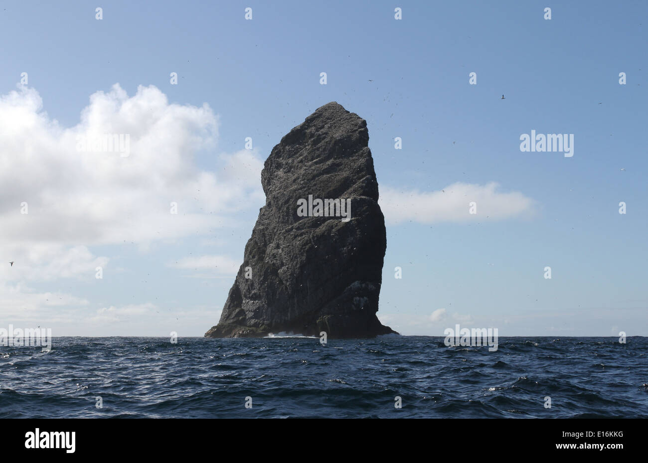 Boreray stac lee st kilda ecosse mai 2014 Banque D'Images