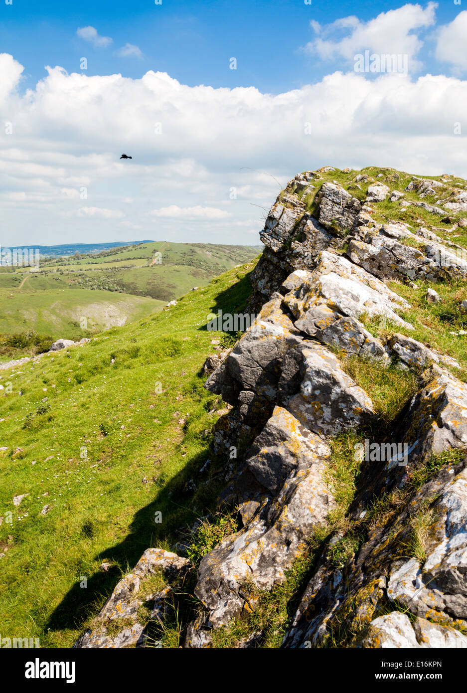 Face à l'escarpement de calcaire carbonifère Crook Peak dans l'ouest à Mendips vers Compton Hill - Somerset UK Banque D'Images