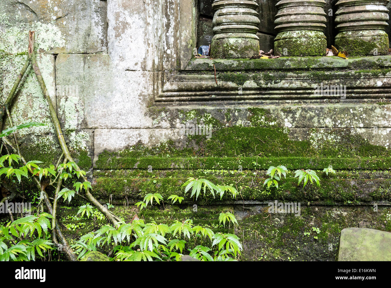 Ruines du temple de Beng Mealea zone d'Angkor, Siem Reap, Cambodge Banque D'Images