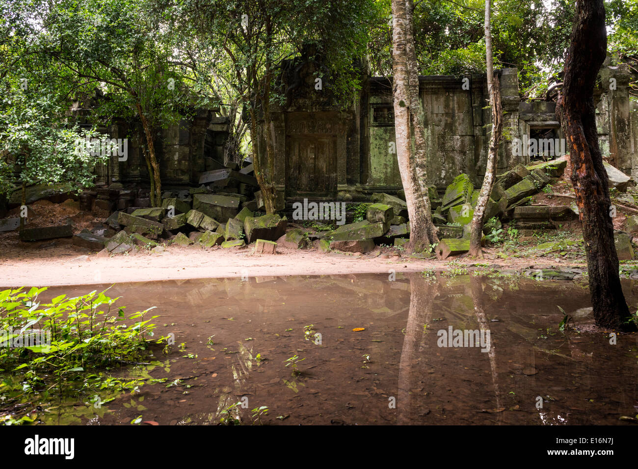 Ruines du temple de Beng Mealea zone d'Angkor, Siem Reap, Cambodge Banque D'Images