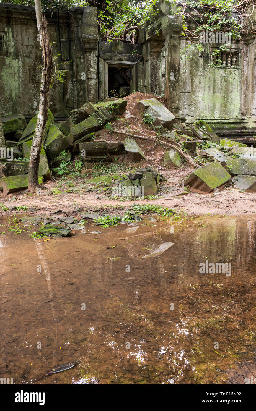 Ruines du temple de Beng Mealea zone d'Angkor, Siem Reap, Cambodge Banque D'Images