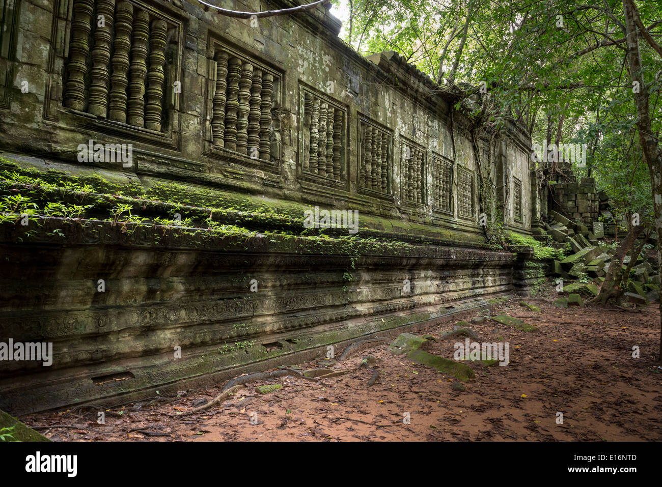 Ruines du temple de Beng Mealea zone d'Angkor, Siem Reap, Cambodge Banque D'Images