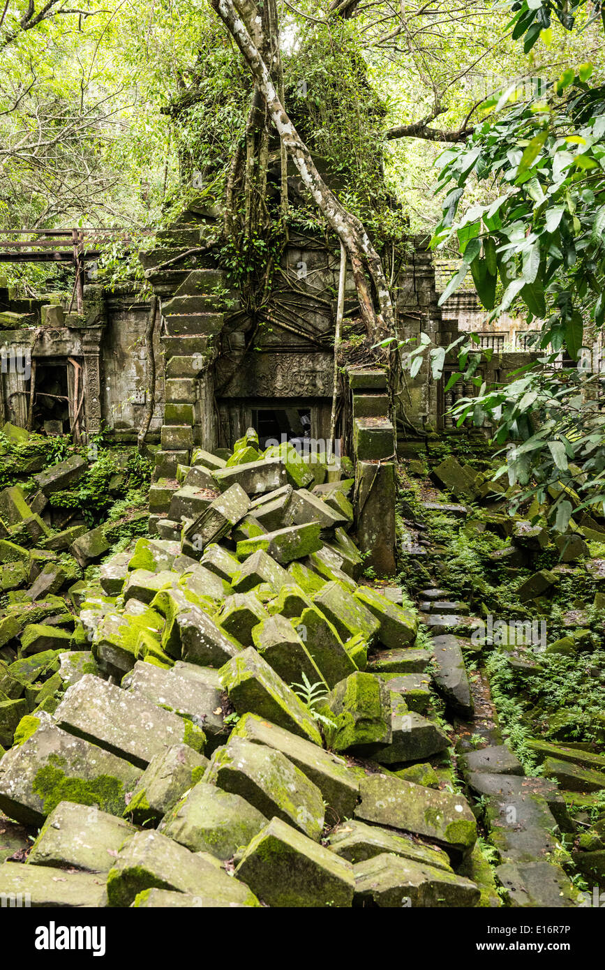 Ruines du temple de Beng Mealea zone d'Angkor, Siem Reap, Cambodge Banque D'Images