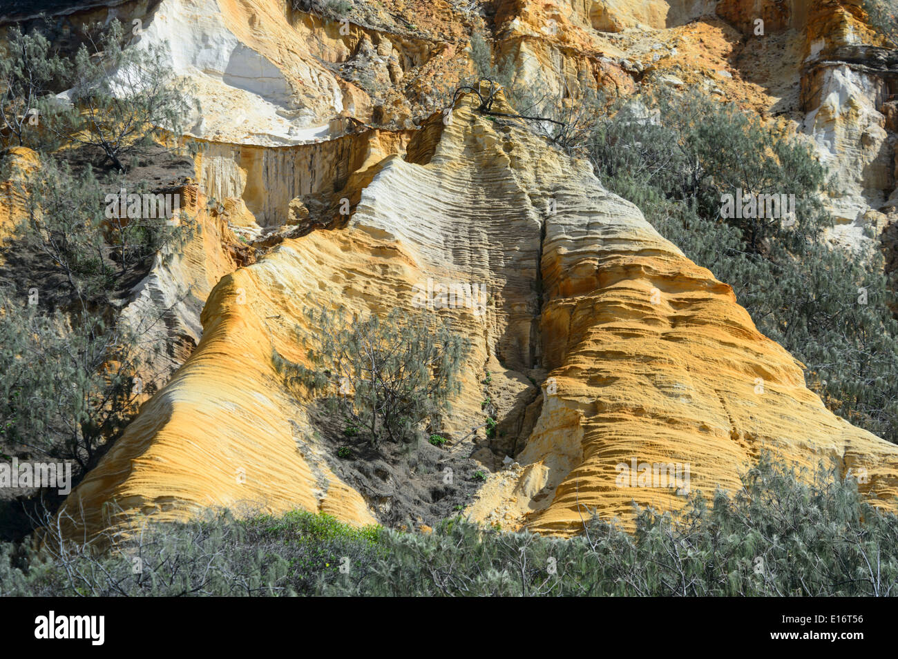 Les Pinnacles Fraser Island Queensland Australie Banque D'Images