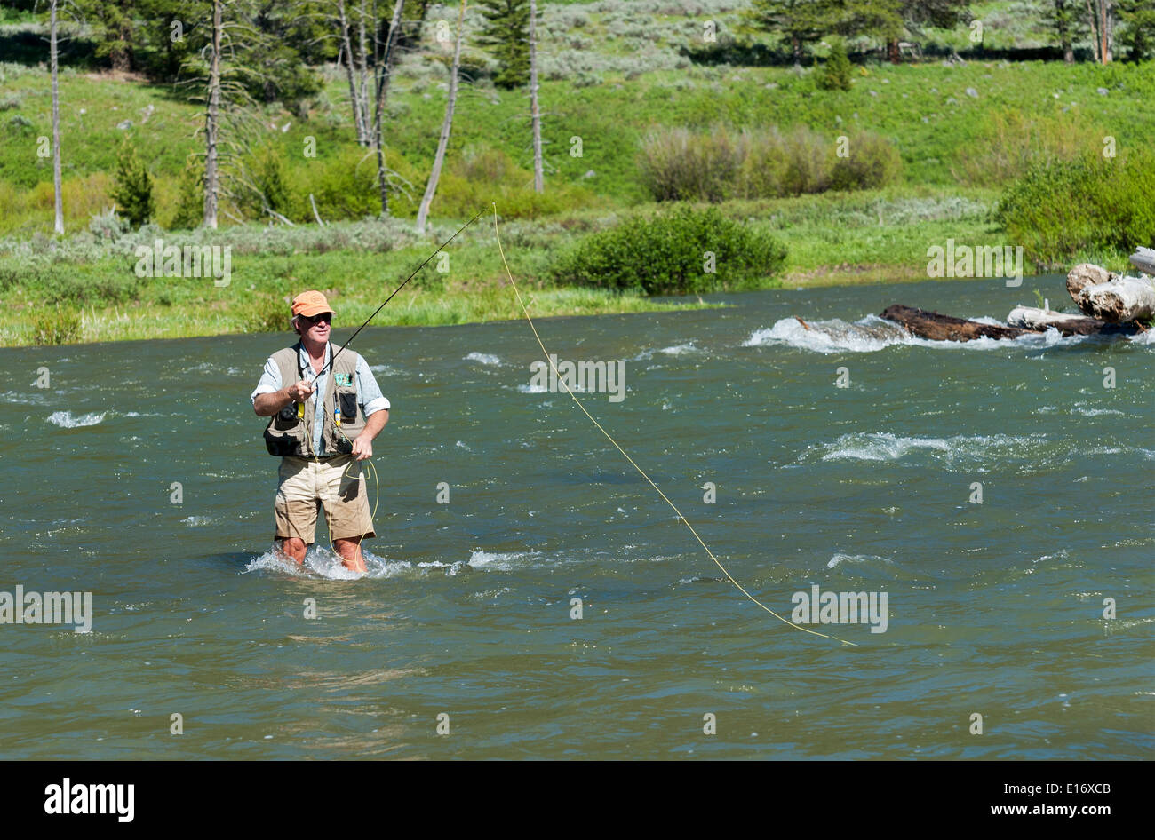 Montana, Madison River, pêcheur de mouche Pêche à Banque D'Images