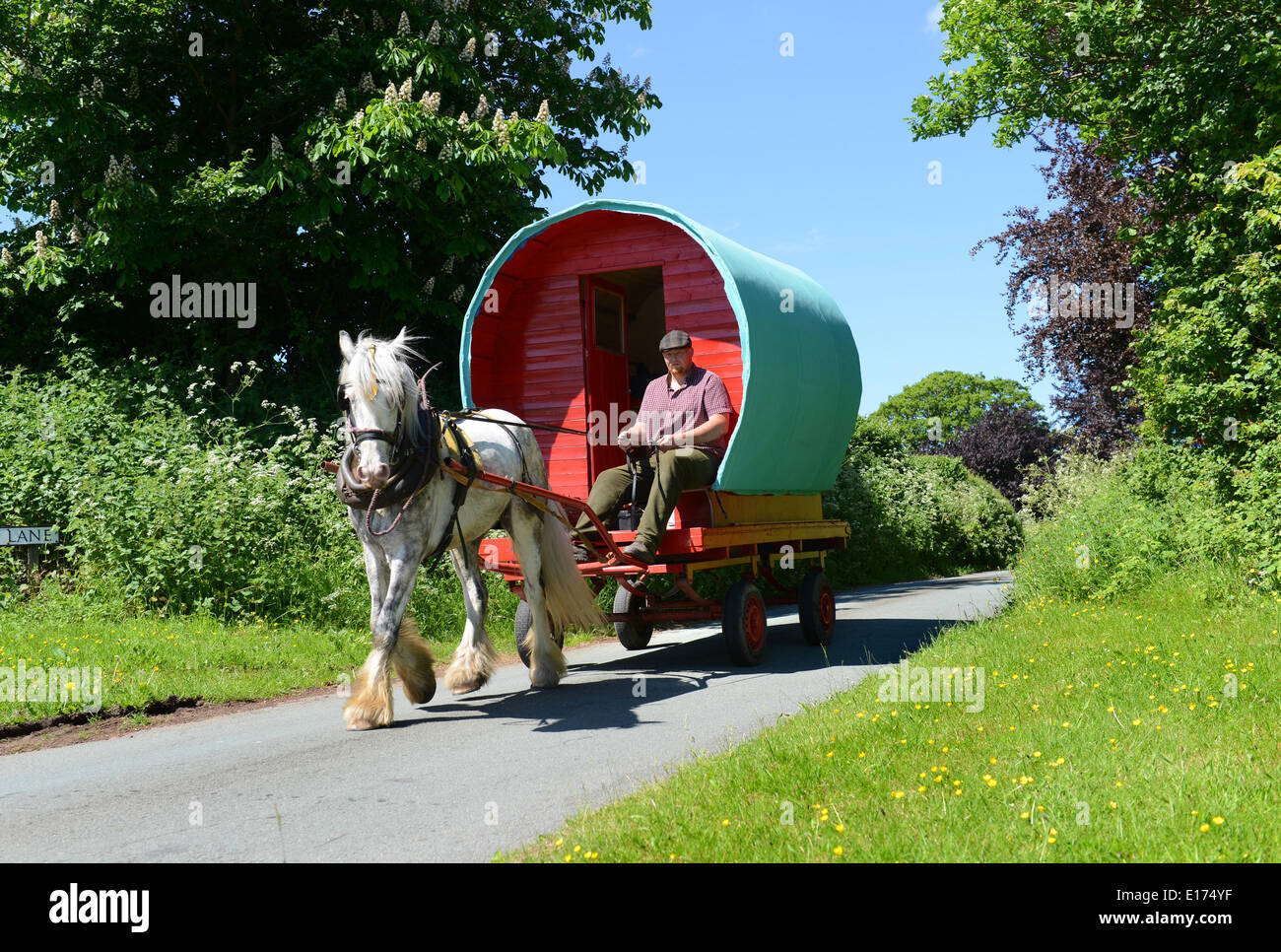 Black Country Traveller Chris Millard, 26 ans, en route pour Appleby Horse Fair avec sa caravane de bohtop tirée par son cheval appelé Miles. West Midlands Royaume-Uni. Romany communauté voyageurs chevaux wagon Royaume-Uni homme homme pays photo DE DAVE BAGNALL Banque D'Images