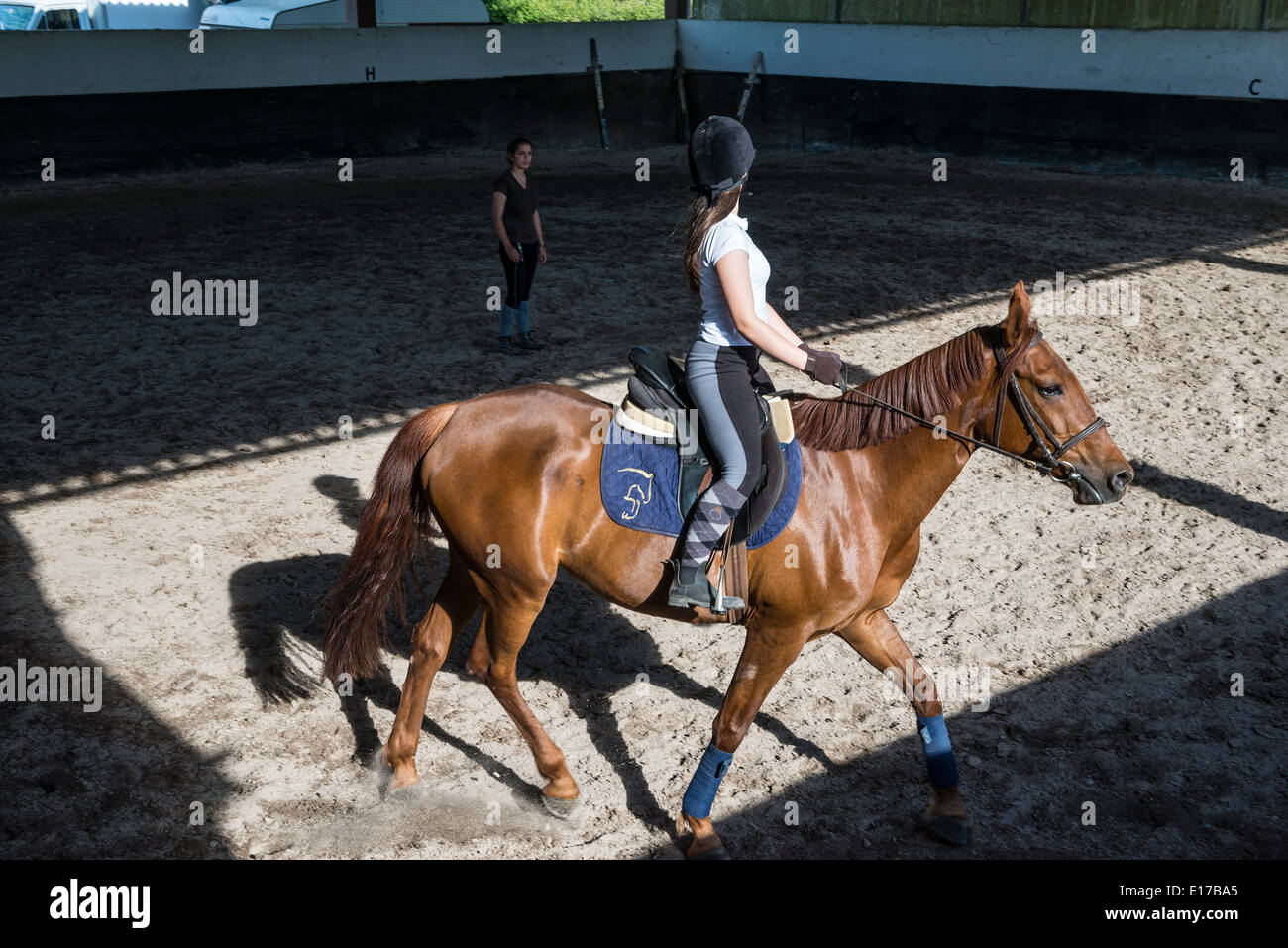 Femme d'apprendre à monter à cheval dans l'anneau Banque D'Images