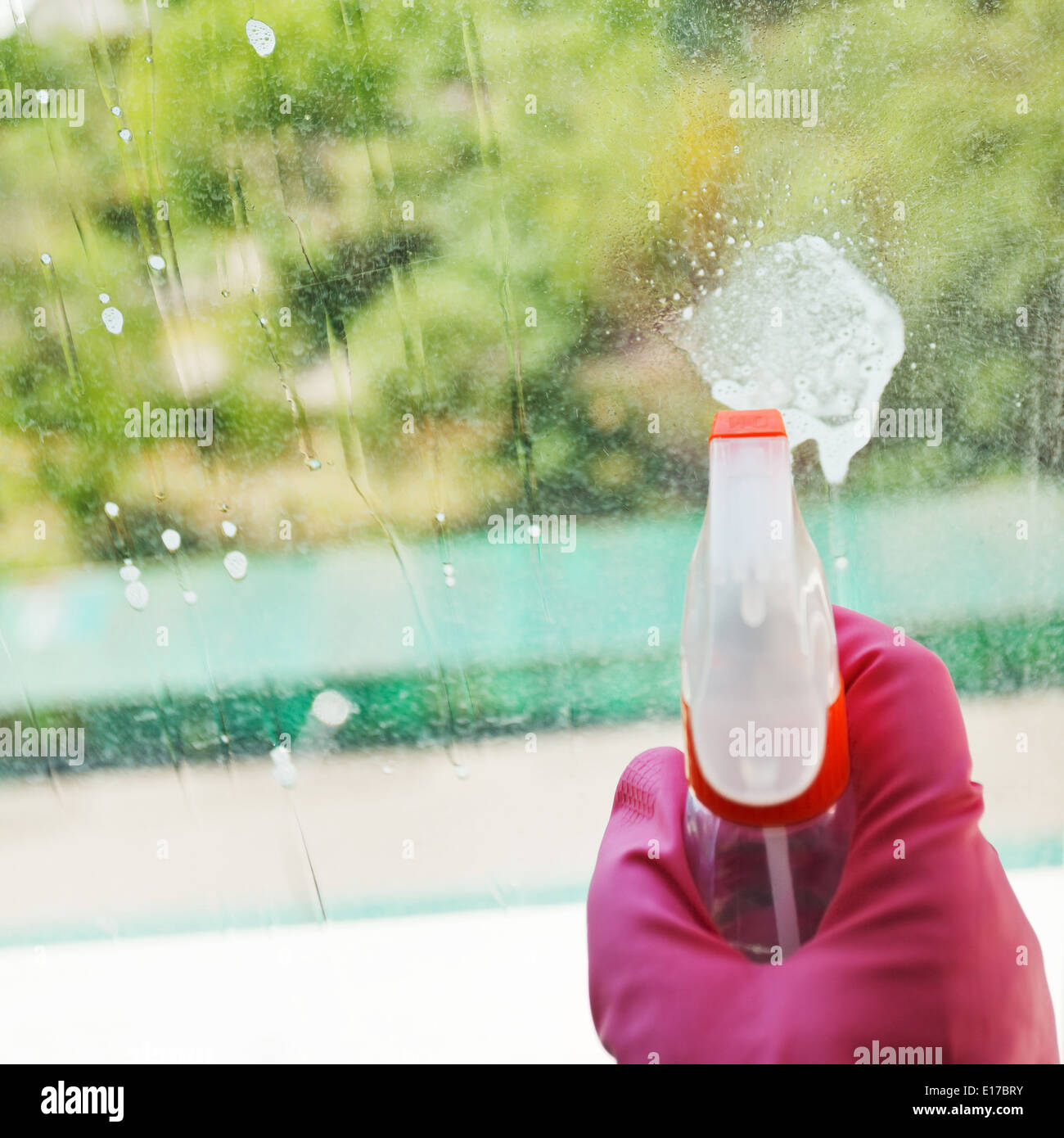 Accueil nettoyage fenêtre - jet liquide à partir de la bouteille de jet sur verre Banque D'Images