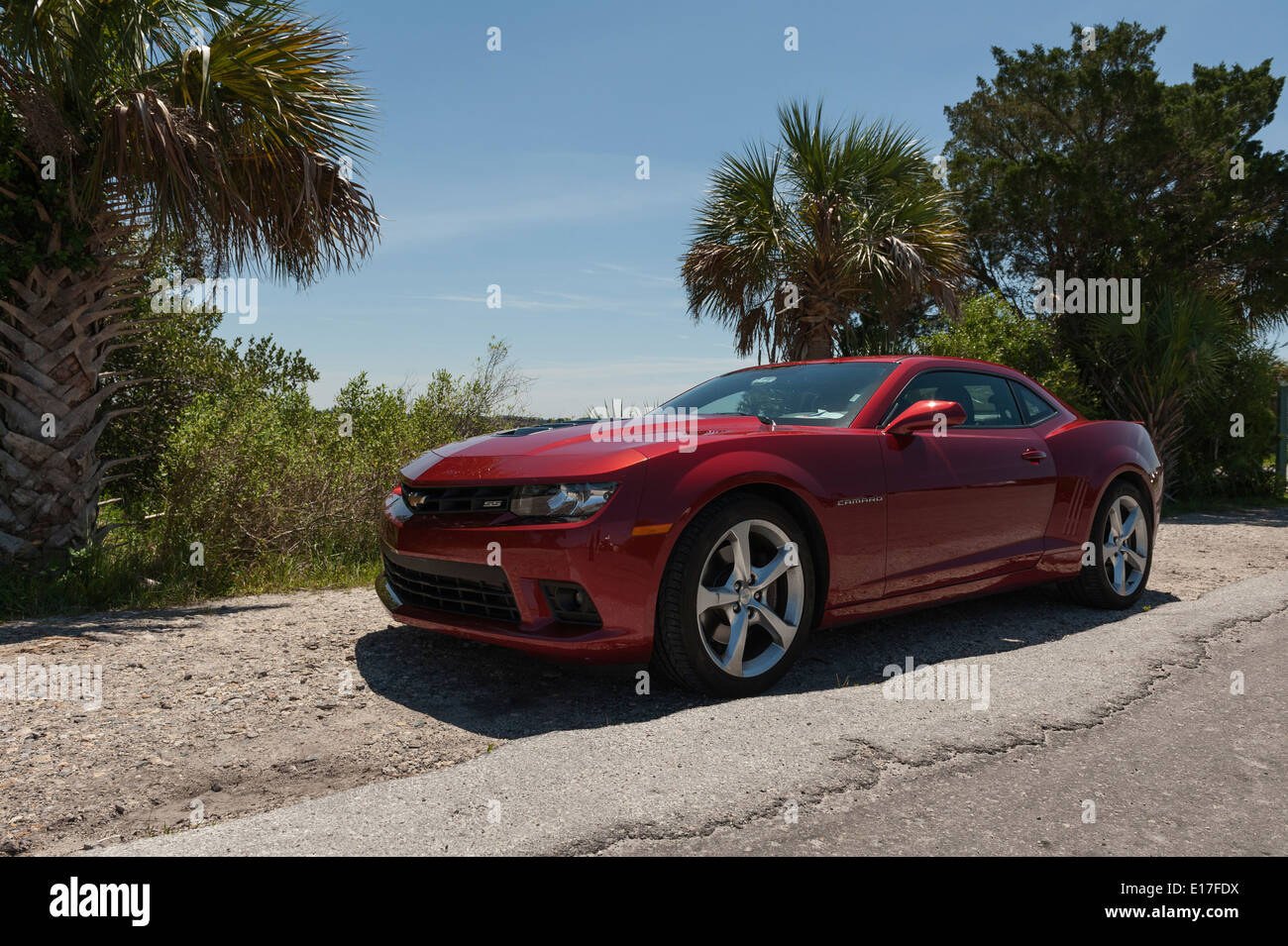 Un super sport Chevrolet Camaro rouge garée dans Crystal River, Florida USA Banque D'Images