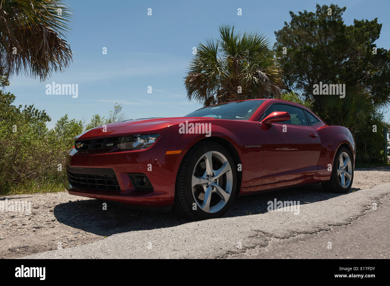 Un super sport Chevrolet Camaro rouge garée dans Crystal River, Florida USA Banque D'Images
