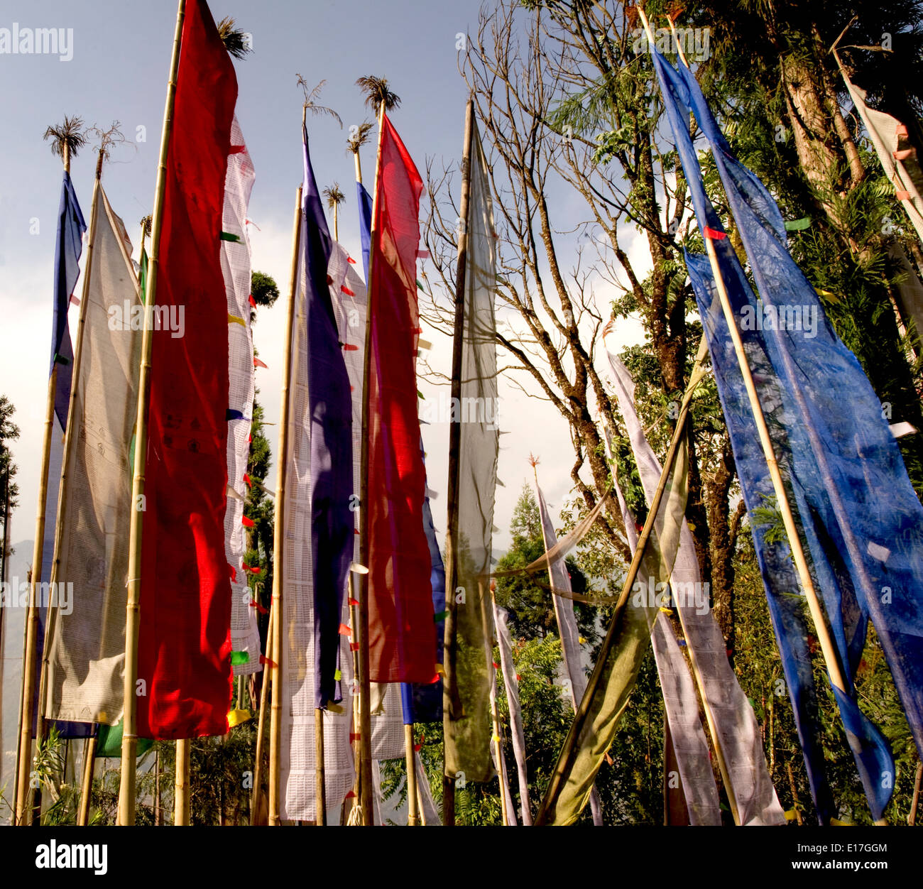 Les drapeaux de prières dans un monastère bouddhiste, Sikkim, Inde Banque D'Images