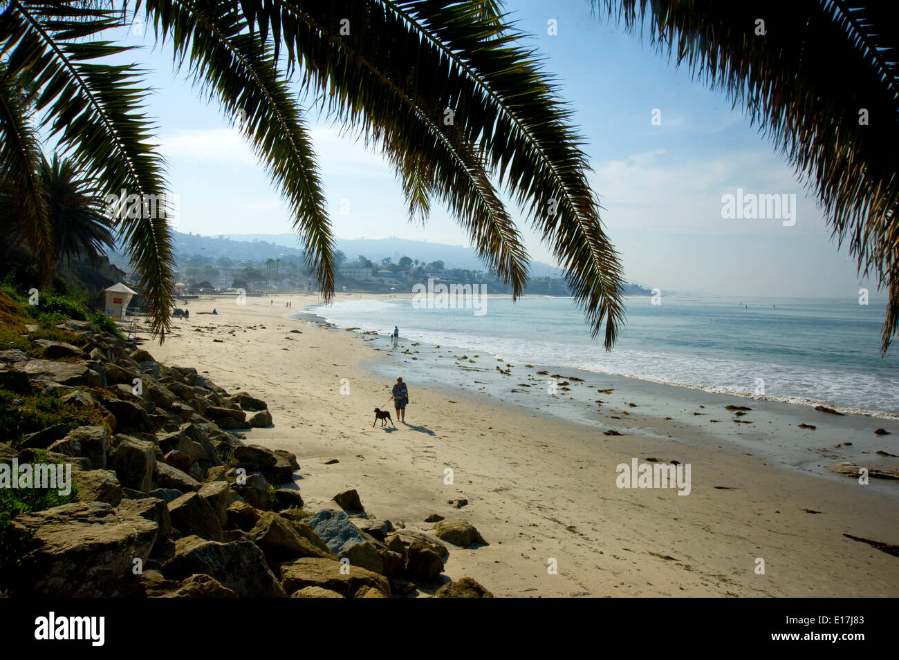 Man Walking dog sur Laguna Beach à Orange County, Californie Banque D'Images