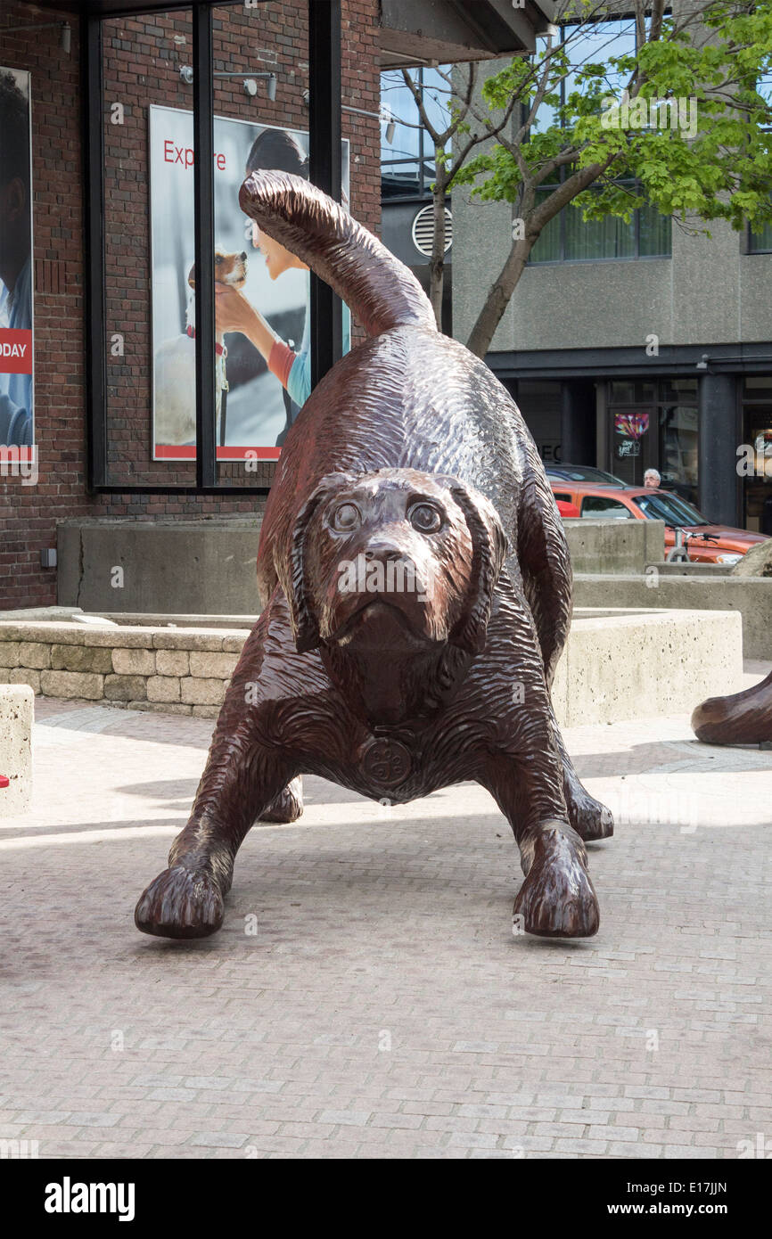 La sculpture sur bois de chien à l'extérieur centre Pawsway pour animaux domestiques sur Queens Quay à Toronto Banque D'Images