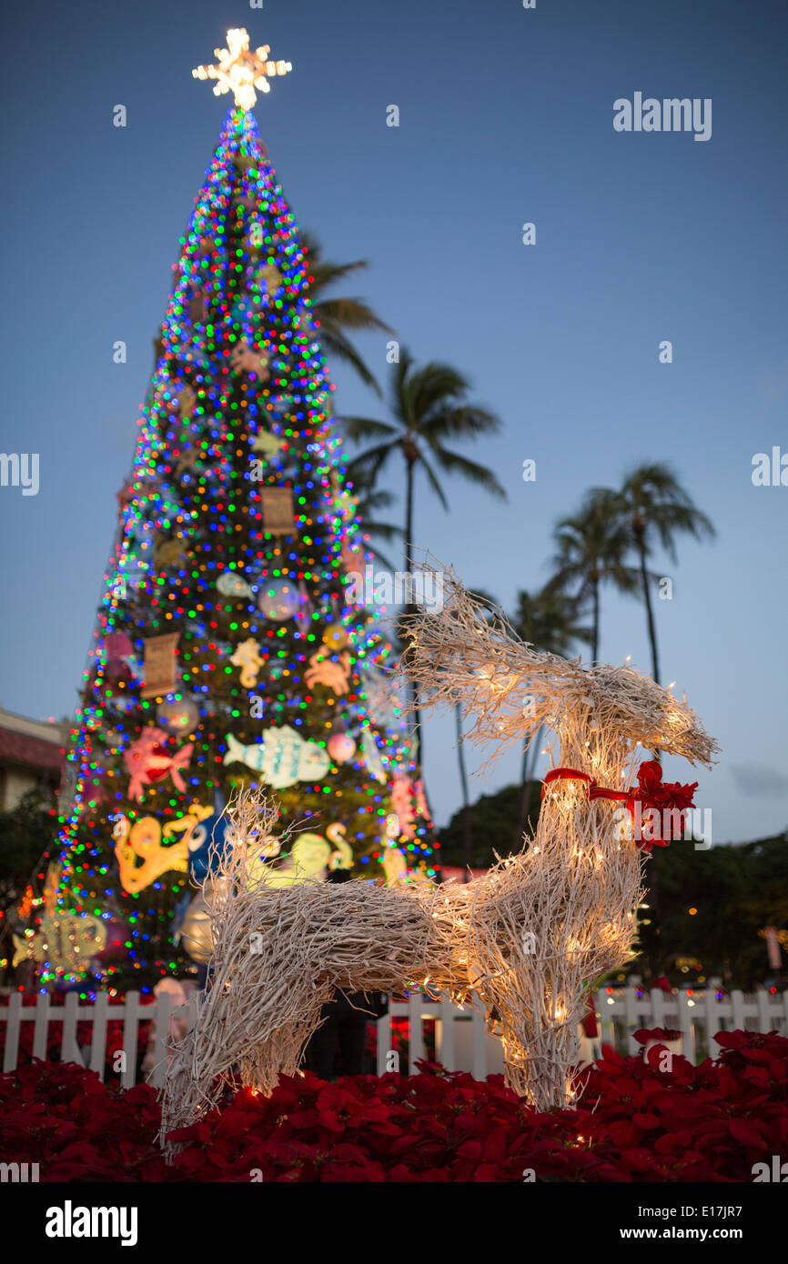 Un arbre de Noël et décoration du renne en dehors de l'Honolulu Hale bâtiment dans le centre-ville d'Honolulu en décembre. Banque D'Images
