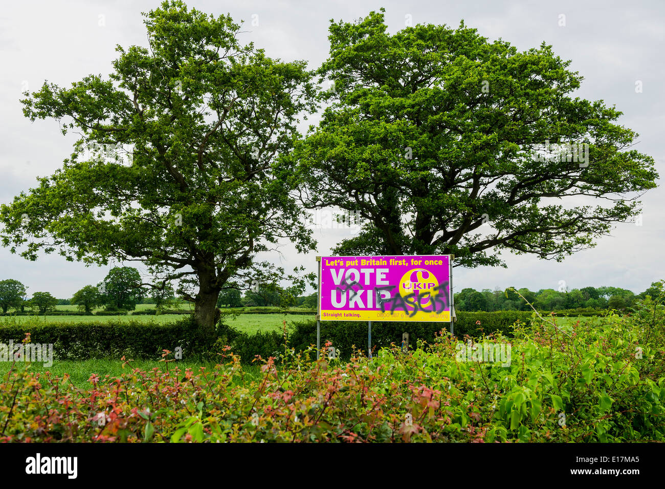 Vu les opinions fortement divisé en Ardenne près de Sussex sur les avantages et les inconvénients de l'UKIP vote. Banque D'Images