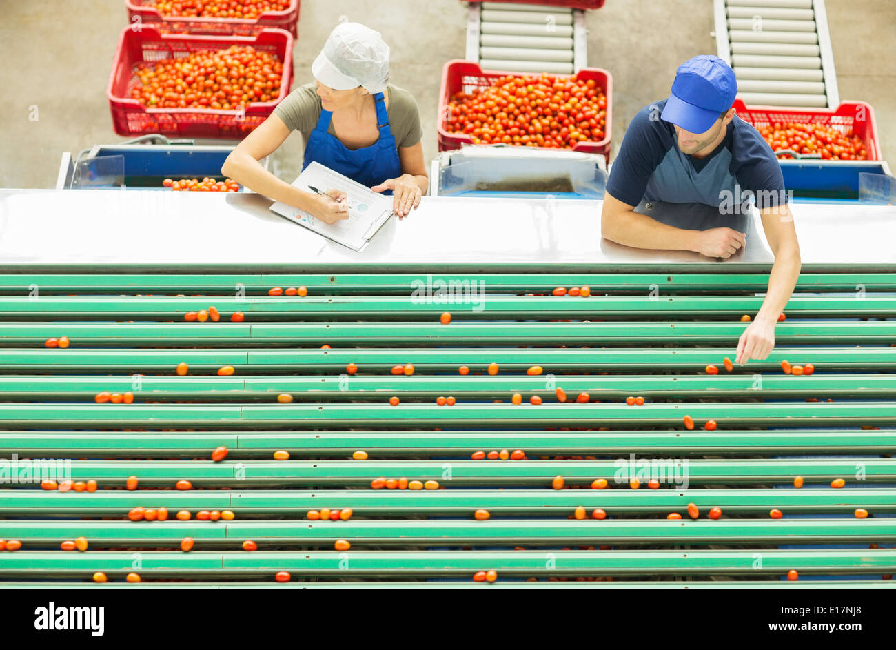 L'examen des travailleurs tomates à convoyeur à bande en usine de transformation alimentaire Banque D'Images