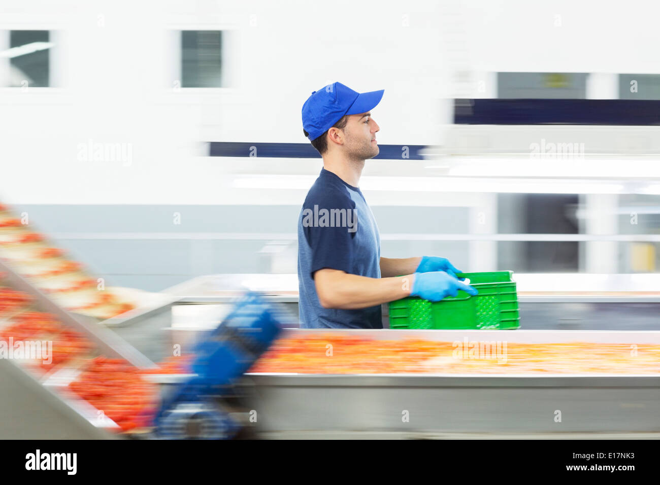 Worker carrying crate en usine de transformation des aliments Banque D'Images