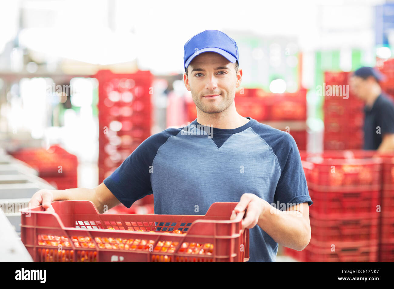Portrait of worker holding caisse de tomates en usine de transformation alimentaire Banque D'Images
