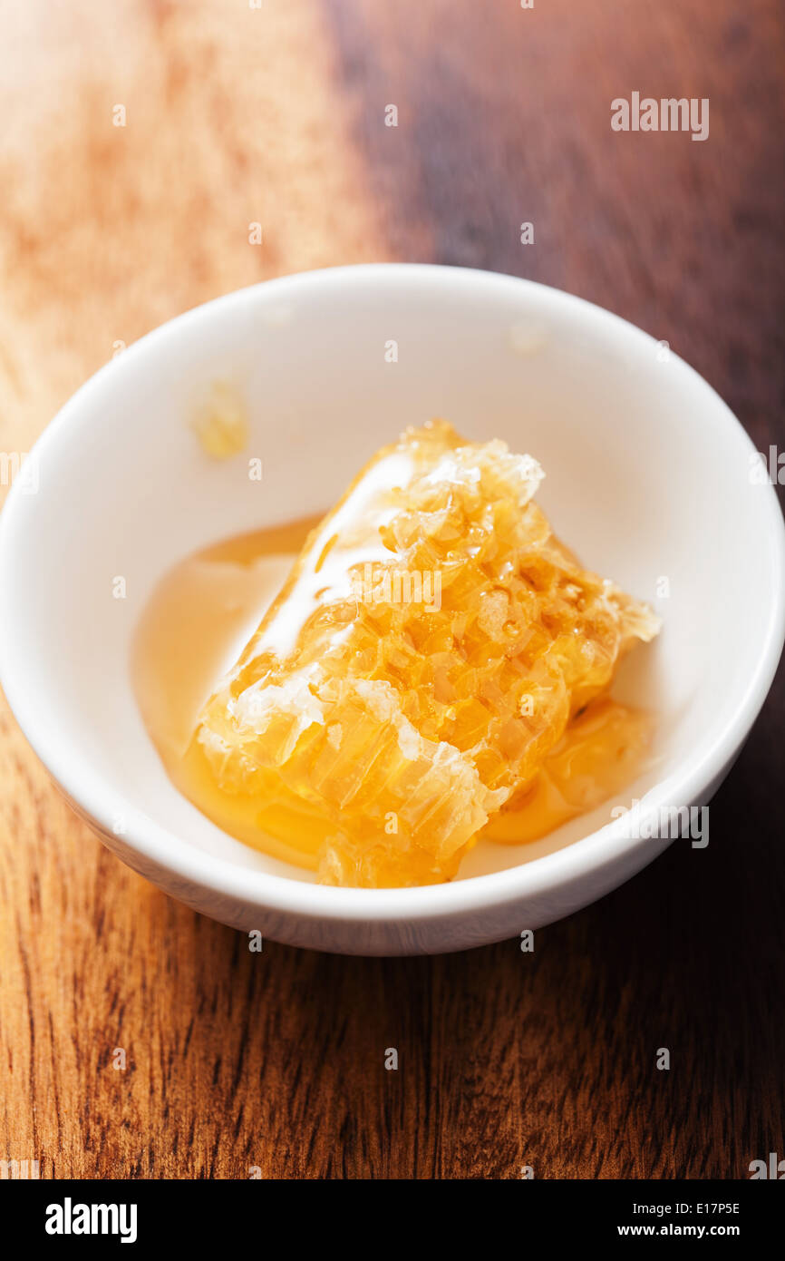 En nid d'bol sur fond de bois Banque D'Images