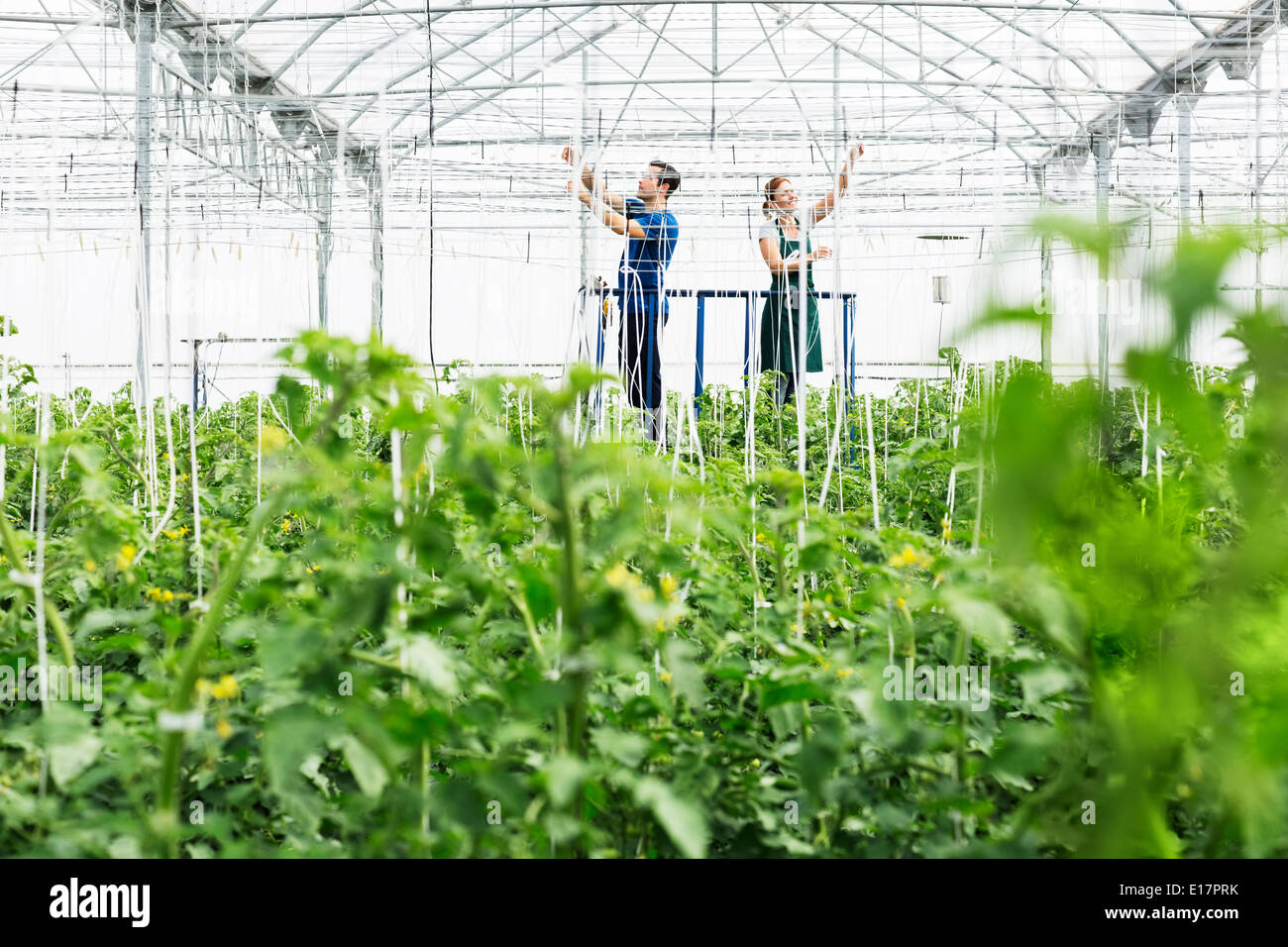 Réglage de gicleurs dans les travailleurs Banque D'Images