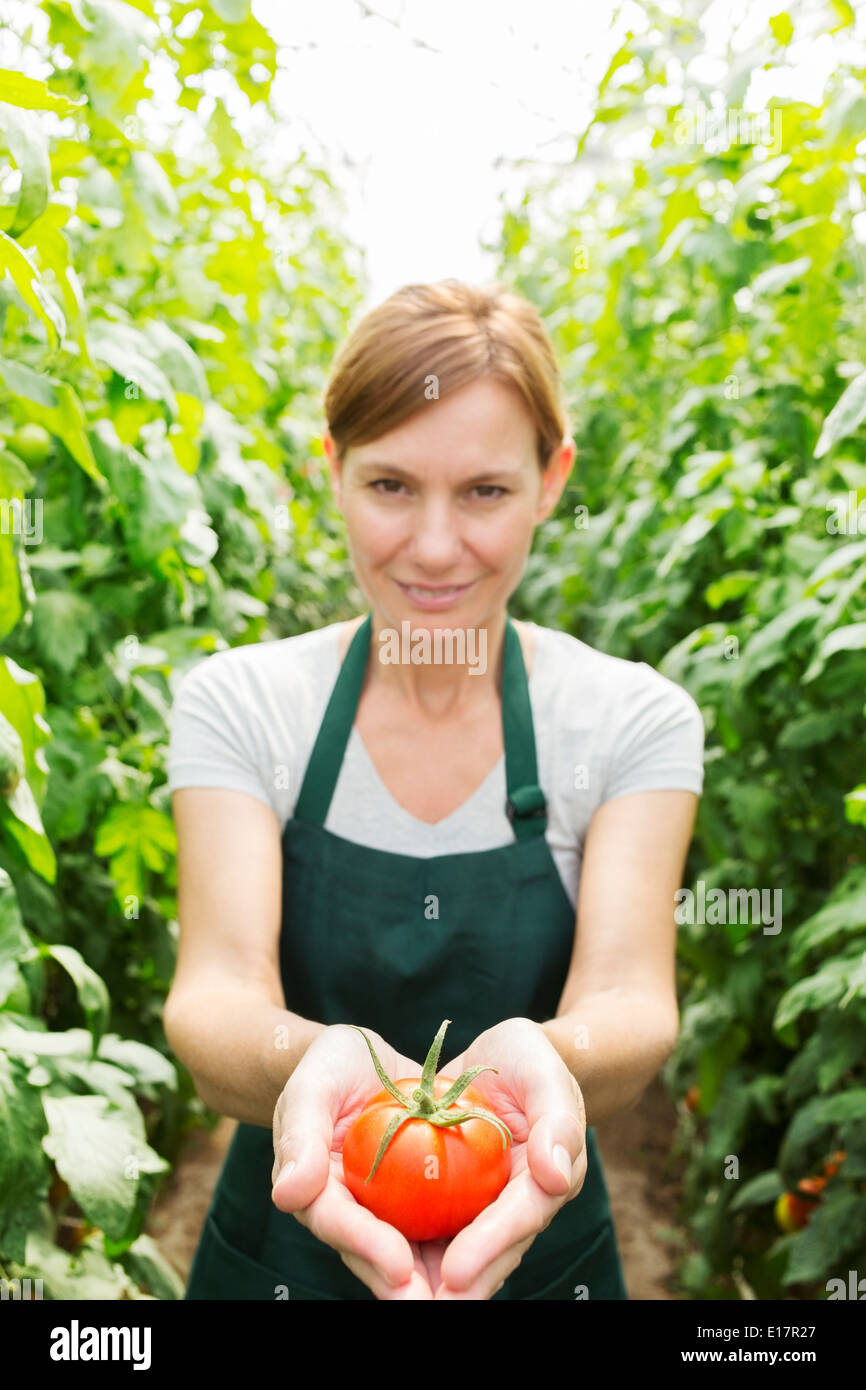 Portrait de femme tenant en serre de tomate mûre Banque D'Images