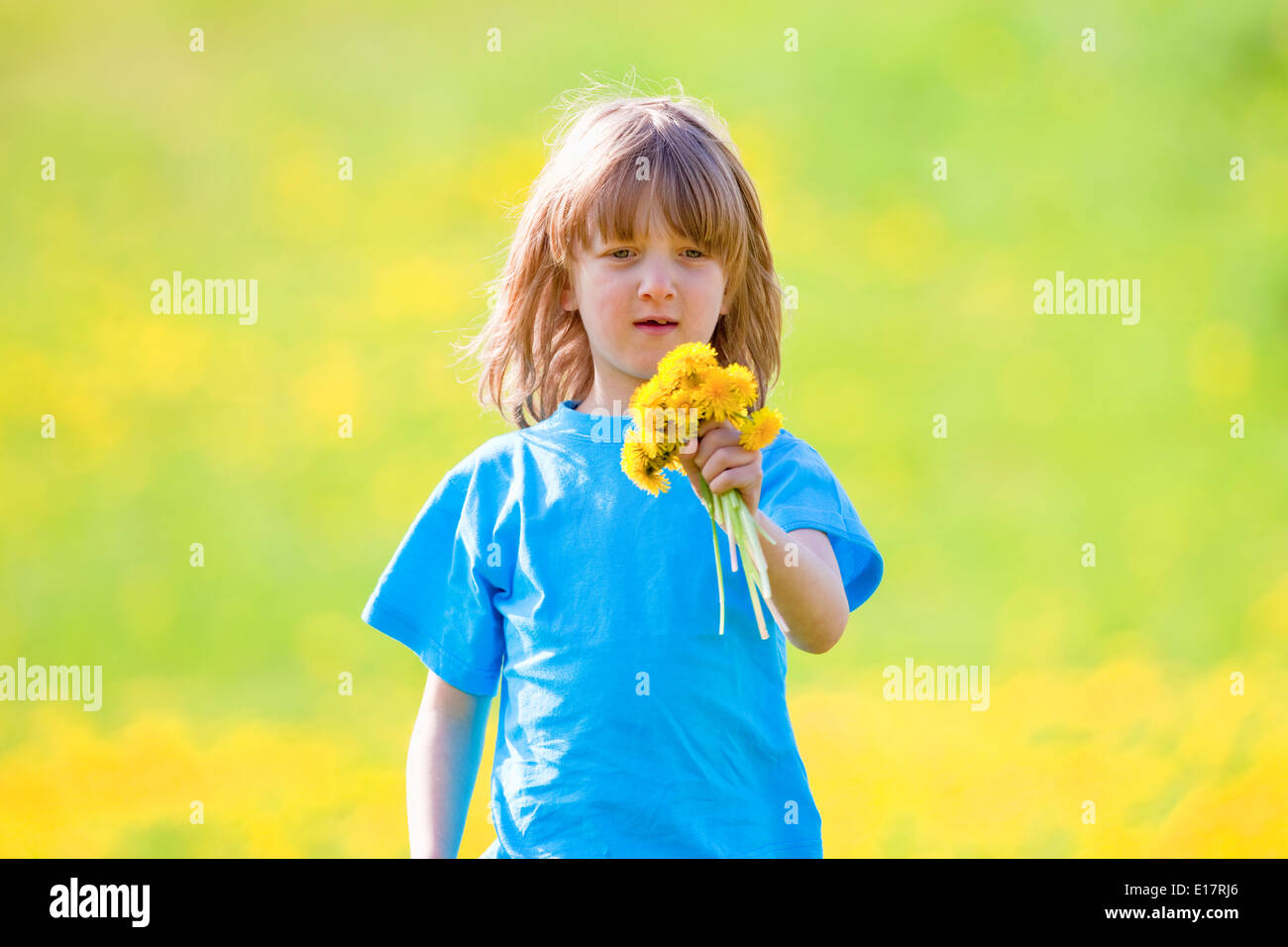 Boy Holding a bouquet de pissenlits dans une prairie au printemps Banque D'Images