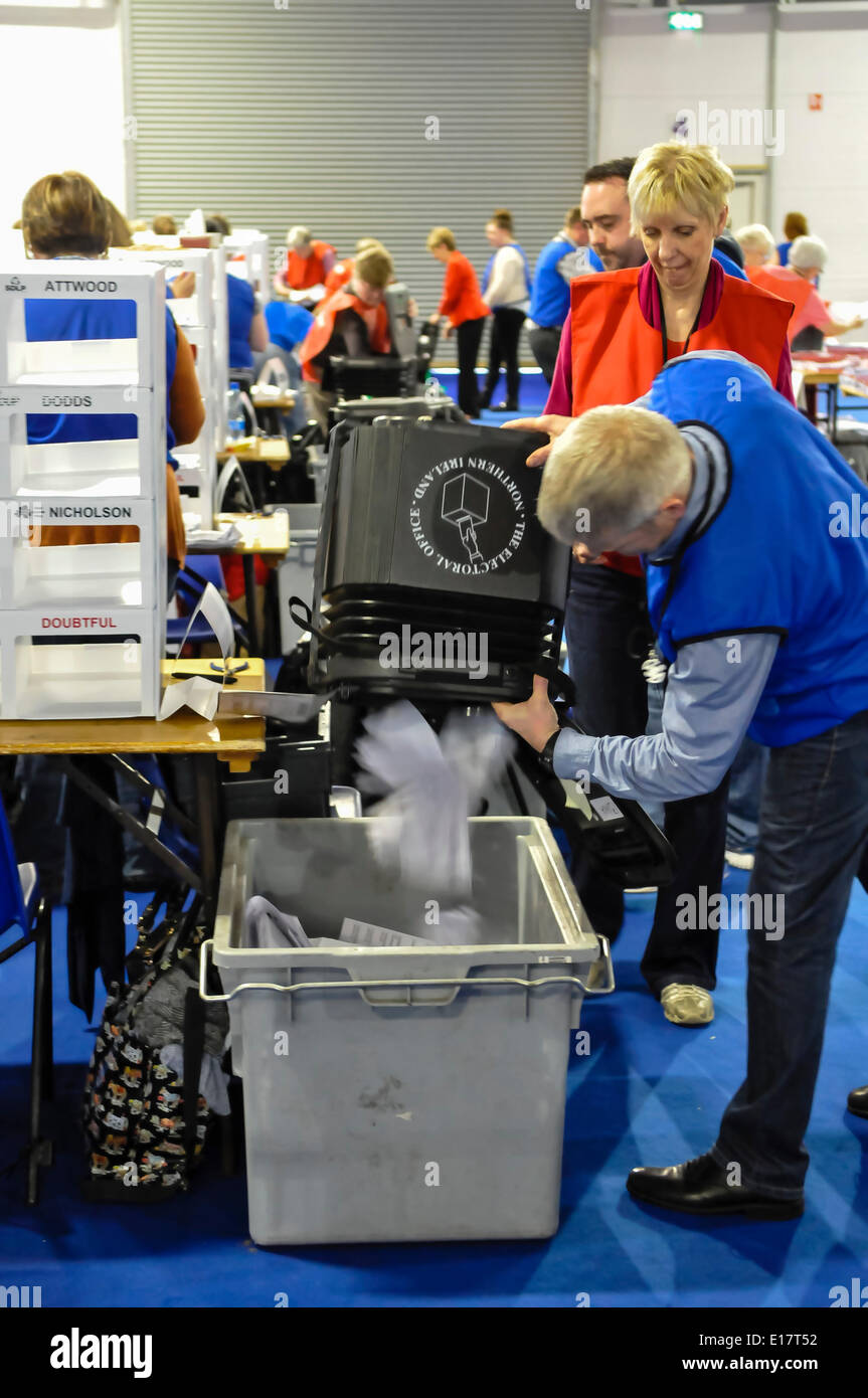 Belfast, en Irlande du Nord, 26 mai 2014 - Le décompte des bulletins de vote pour les élections européennes commence à Belfast Crédit : Stephen Barnes/Alamy Live News Banque D'Images