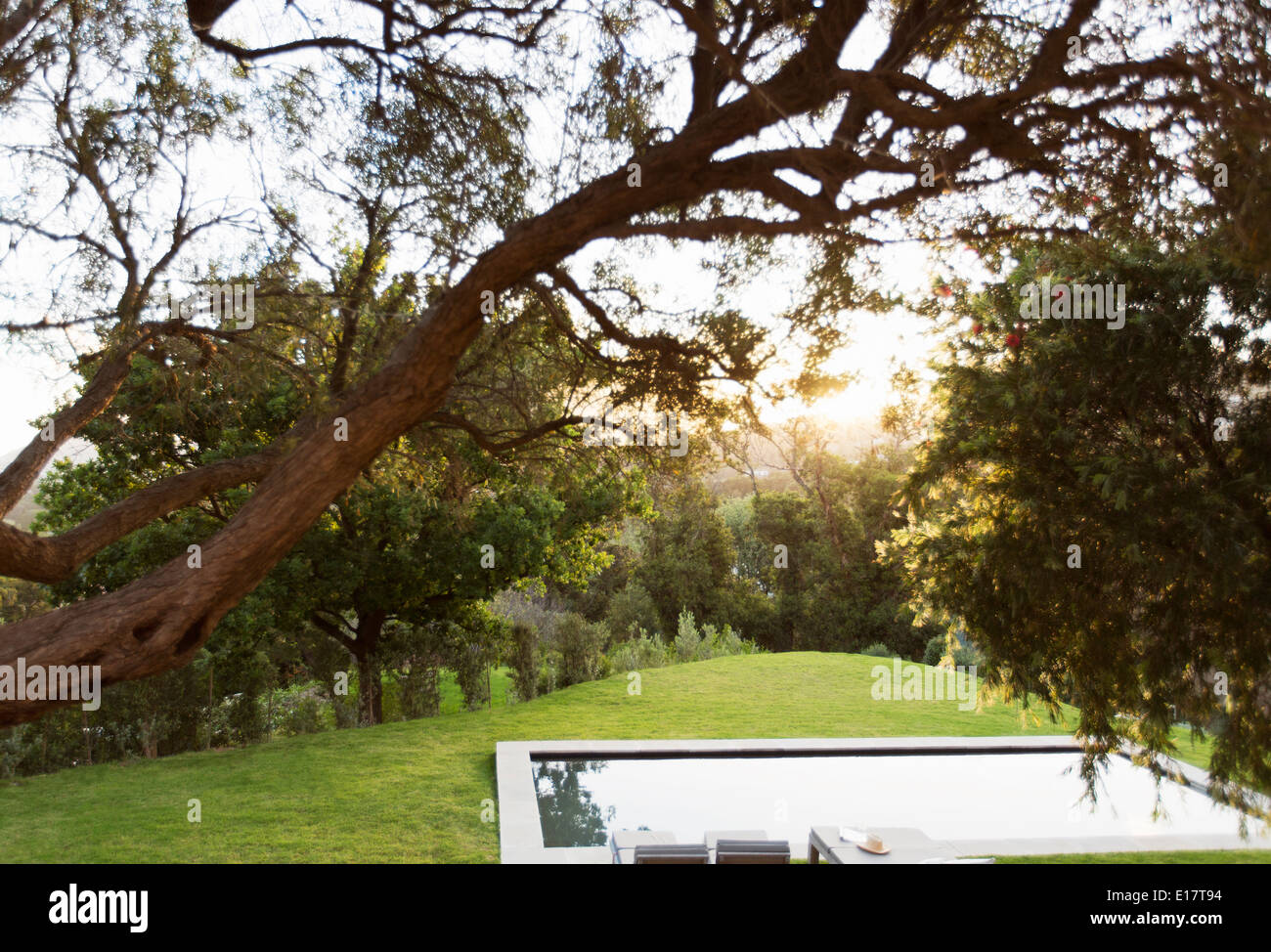 Jardin paisible avec piscine Banque D'Images