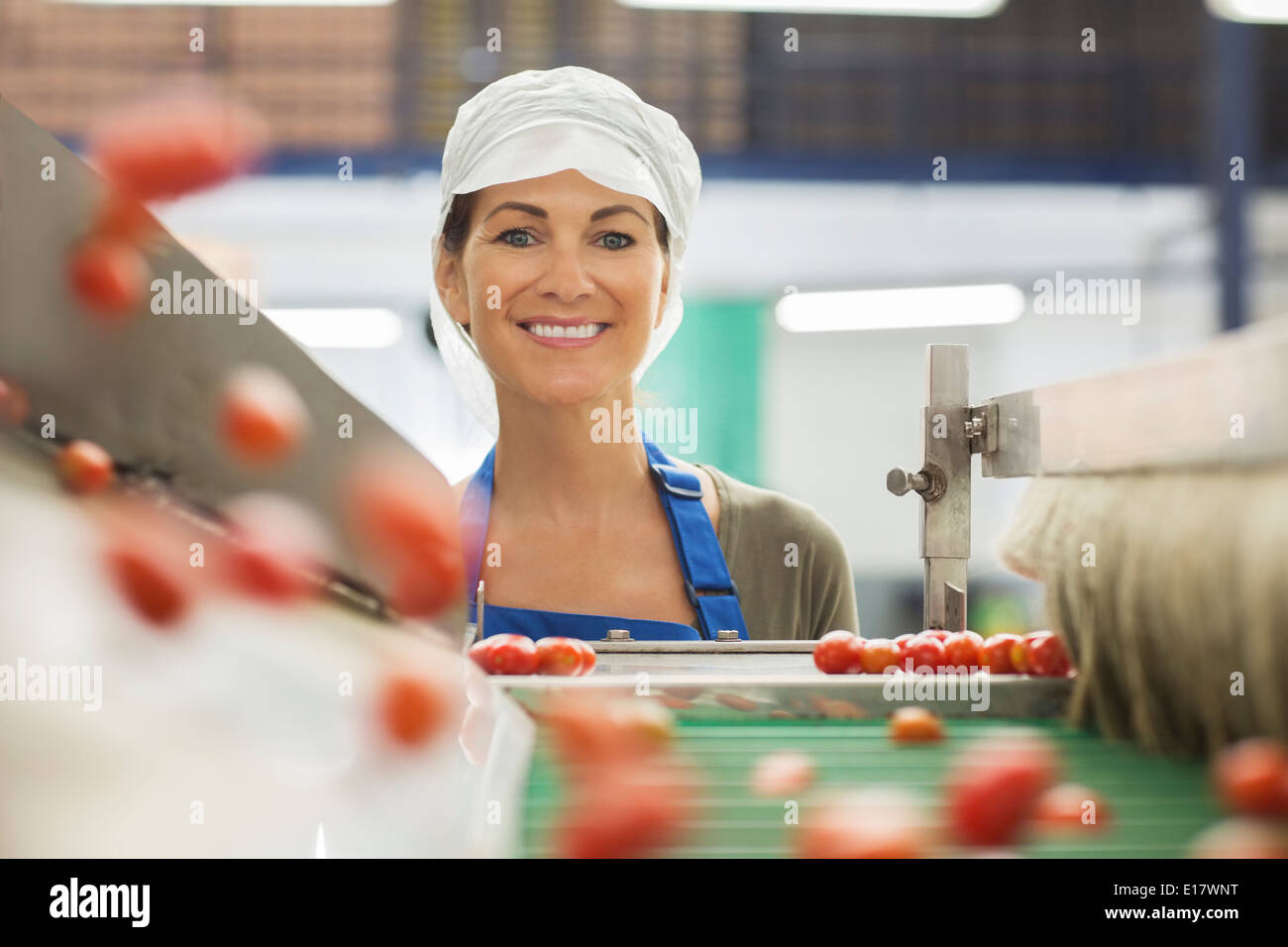 Portrait of smiling worker examinant les tomates à convoyeur à bande en usine de transformation alimentaire Banque D'Images
