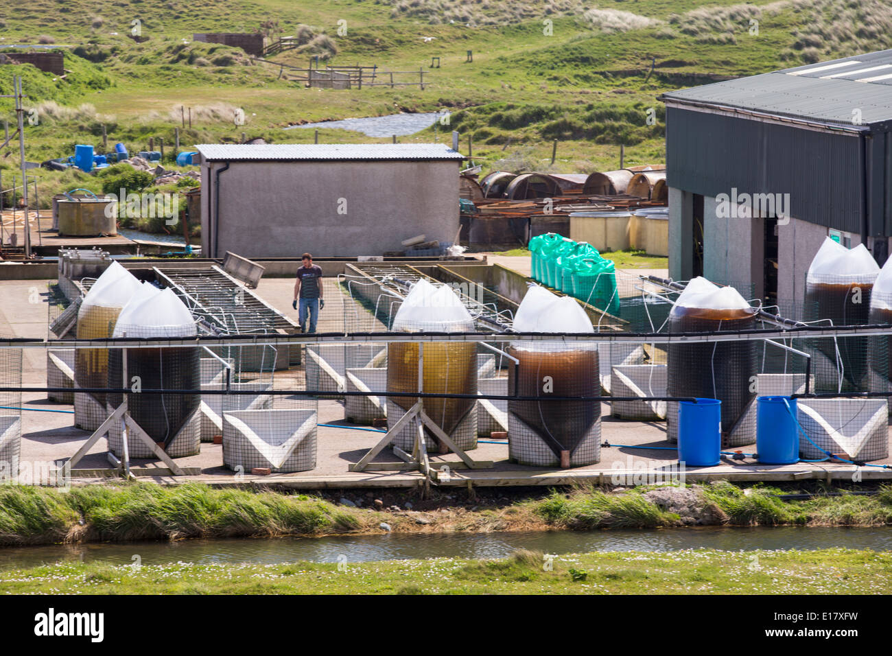 Une ferme ostréicole sur l'Île Walney, Cumbria, UK. Banque D'Images