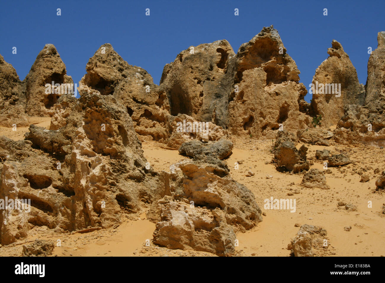 Les Pinnacles, Australie de l'Ouest Banque D'Images