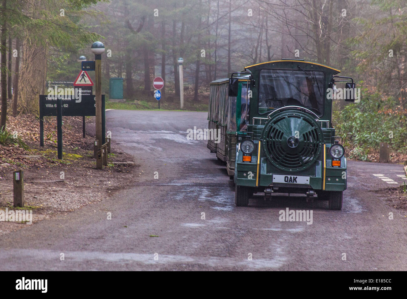 Le petit train à Center Parcs , Longleat, Wiltshire, Angleterre, Royaume-Uni, Banque D'Images