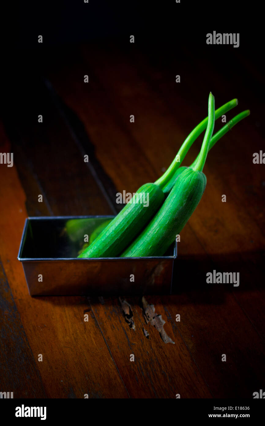 Trois fruits vert [Smooth] luffa luffas Cucurbitaceae en aluminium aluminium rectangles fort sur plancher bois plancher bois Banque D'Images