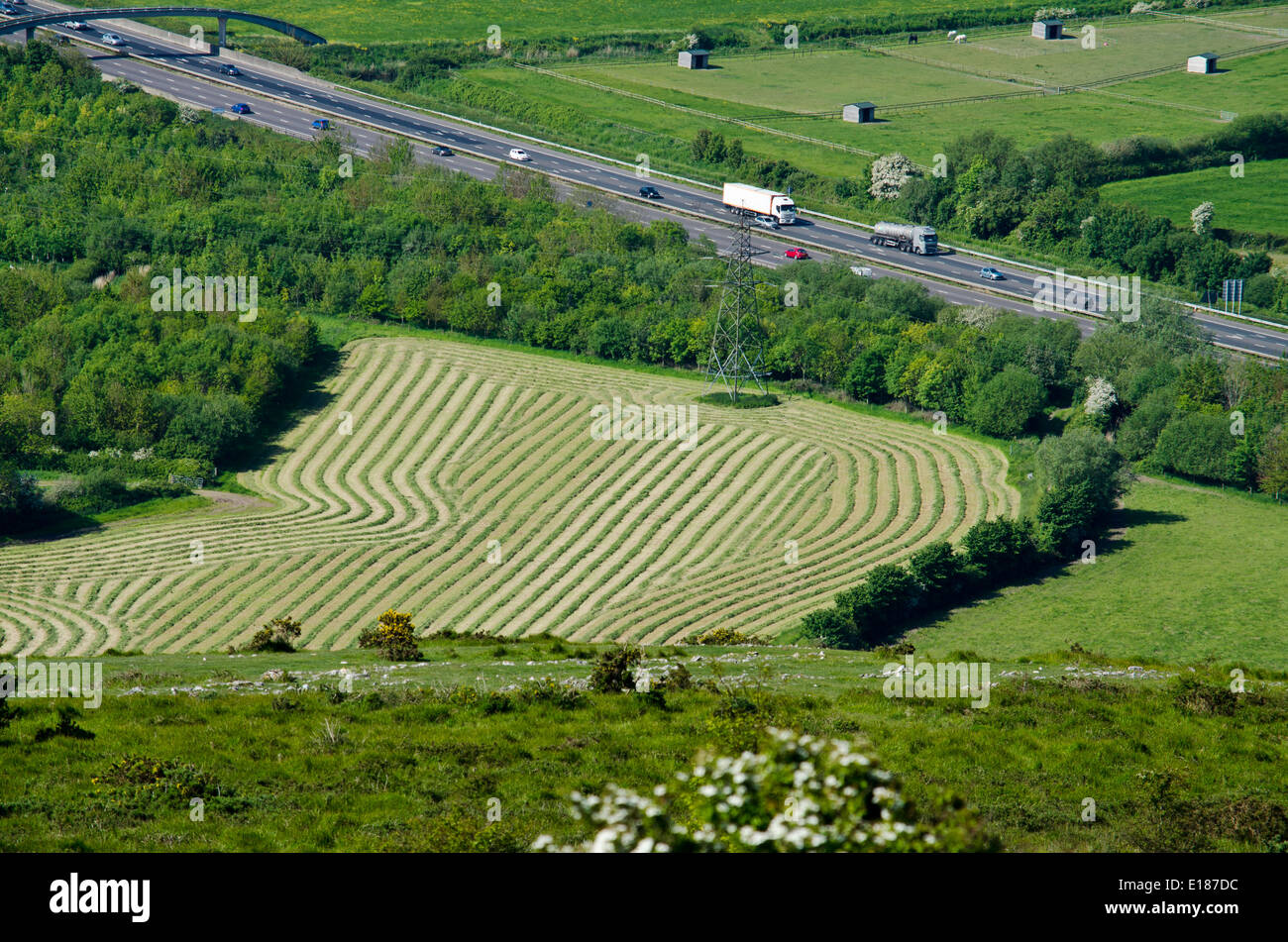 Fenaison à Somerset dans l'été Banque D'Images